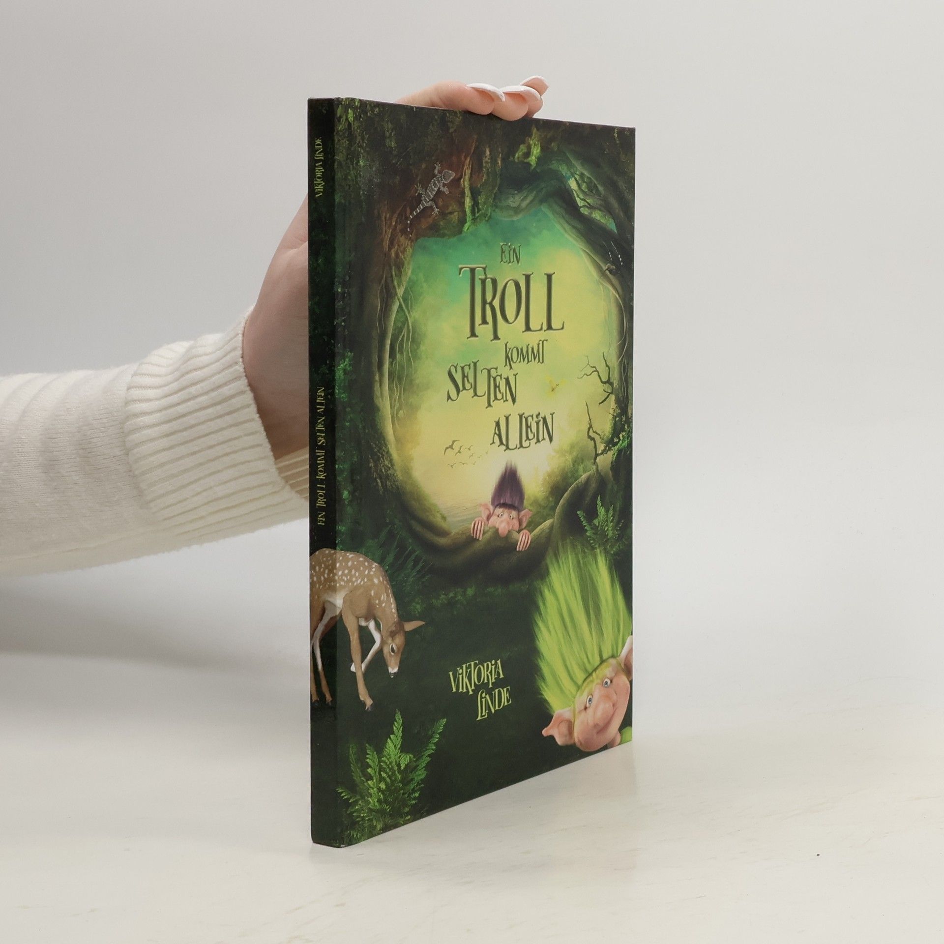 Viktoria Linde Abenteuer mit dem kleinen Troll - 1: Ein Troll kommt selten allein