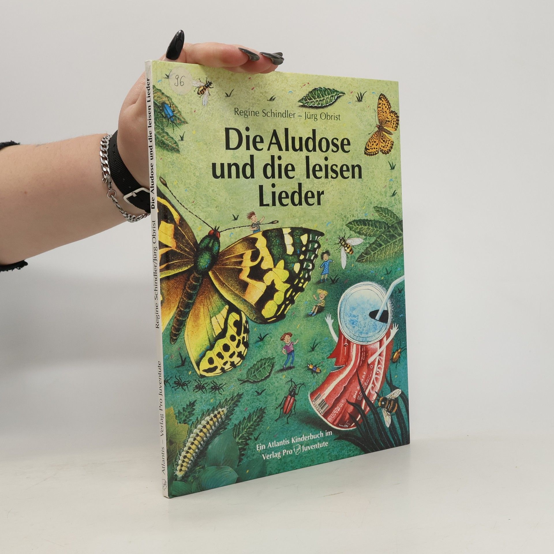 Regine Schindler Die Aludose und die leisen Lieder