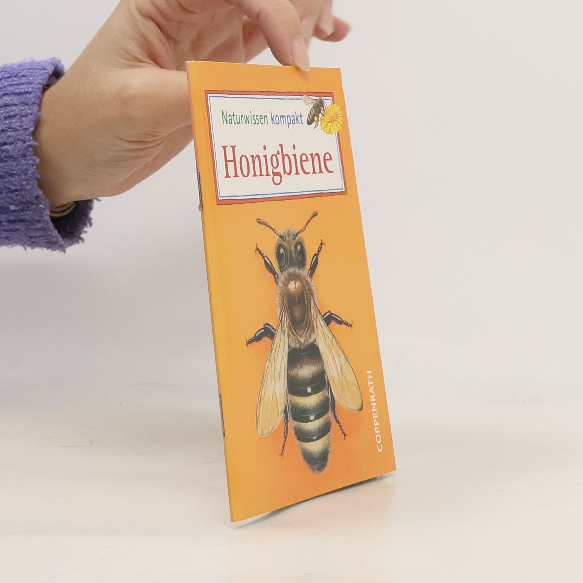 Holger Haag Naturwissen kompakt: Honigbiene