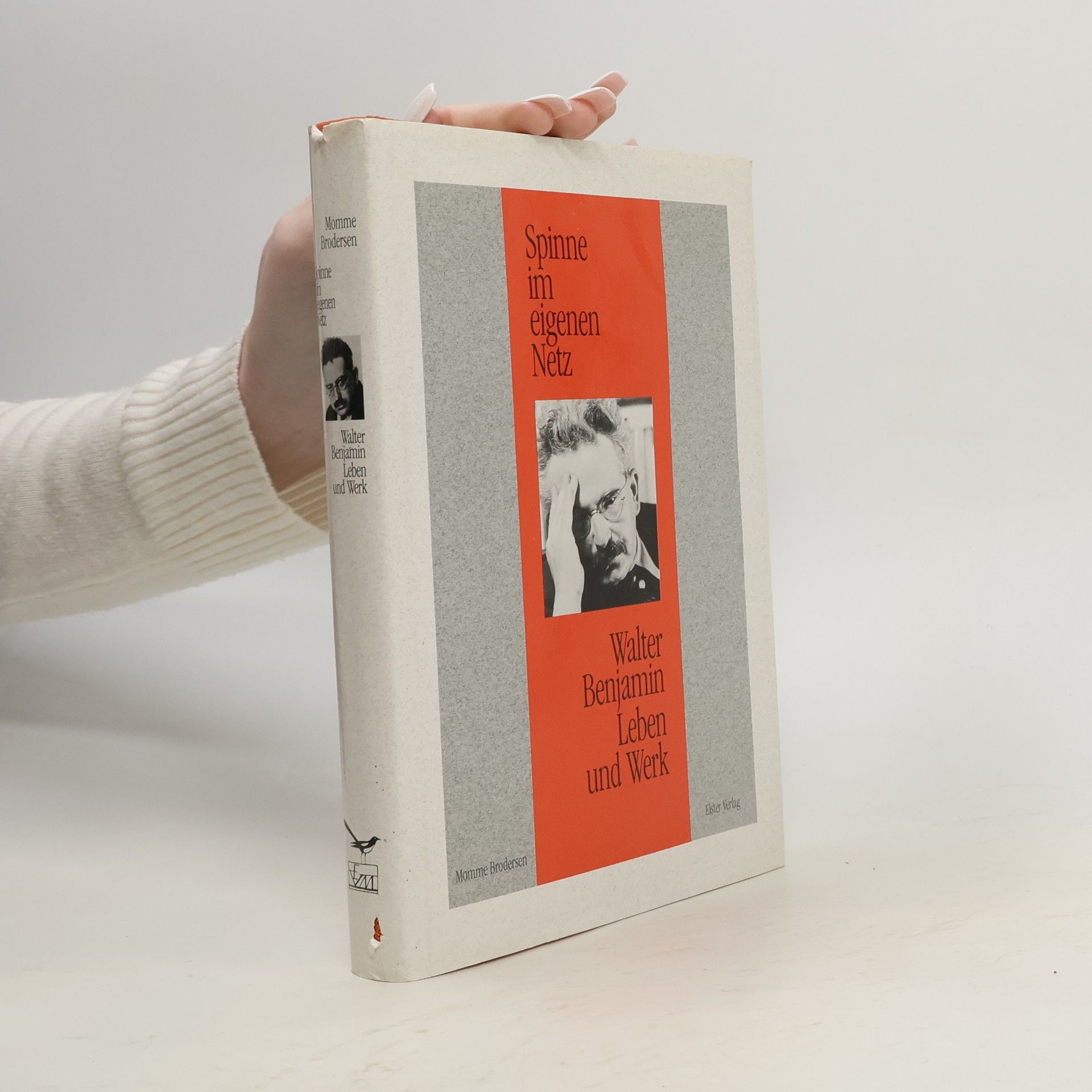 Spinne im eigenen Netz