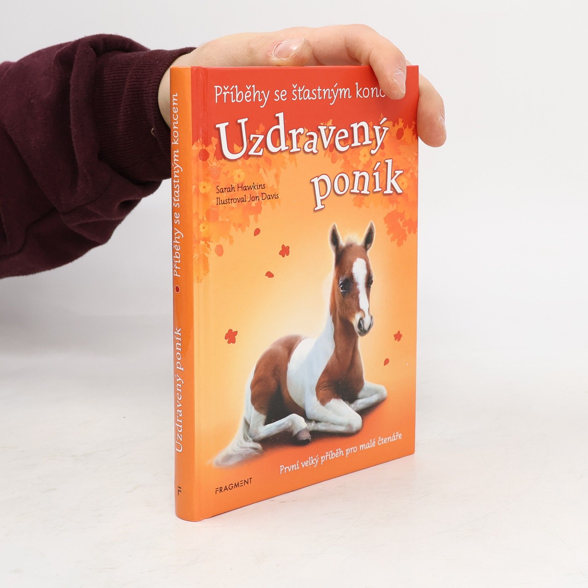 Eva Brožová Uzdravený poník