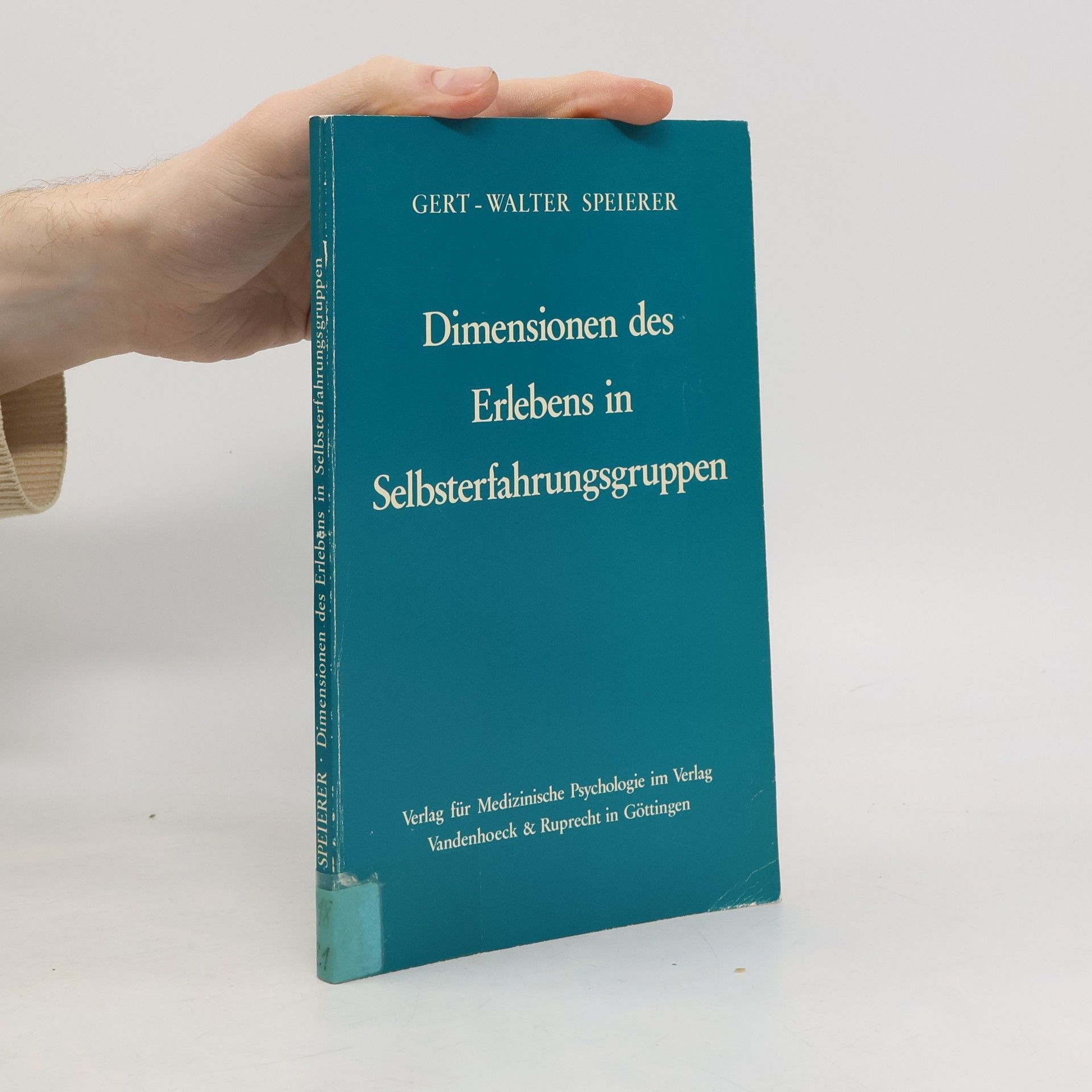 Dimensionen des Erlebens in Selbsterfahrungsgruppen