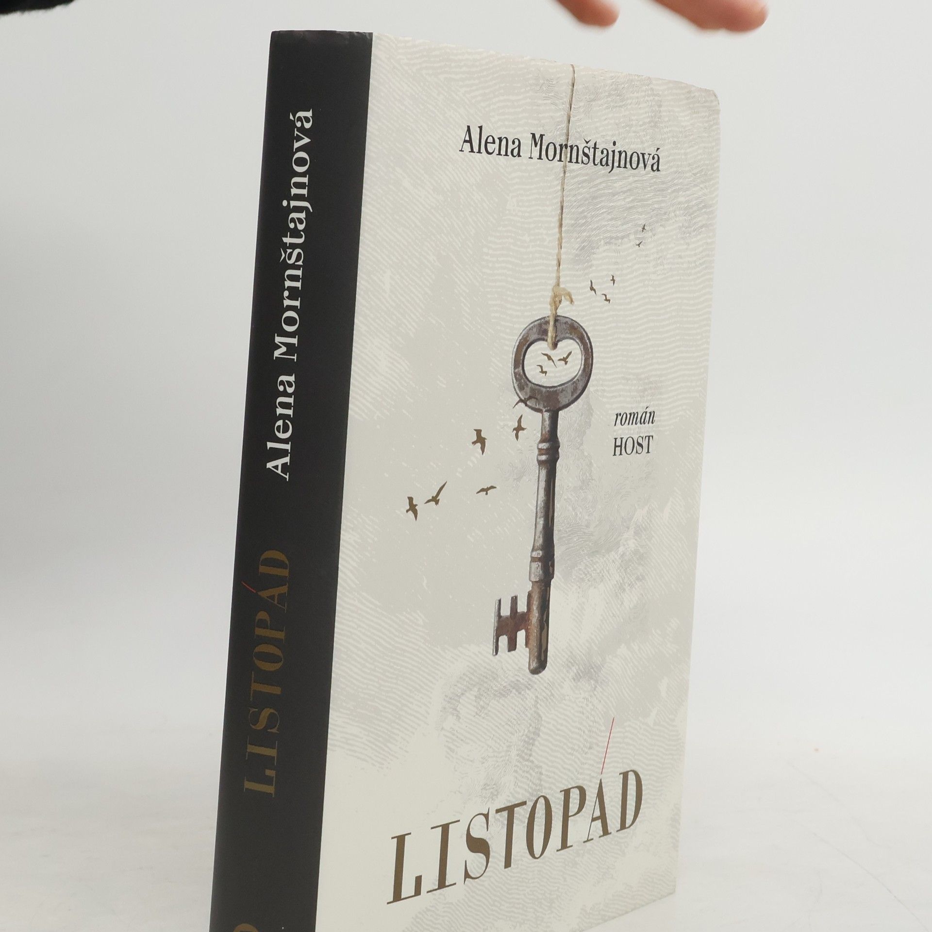 Alena Mornštajnová Listopád