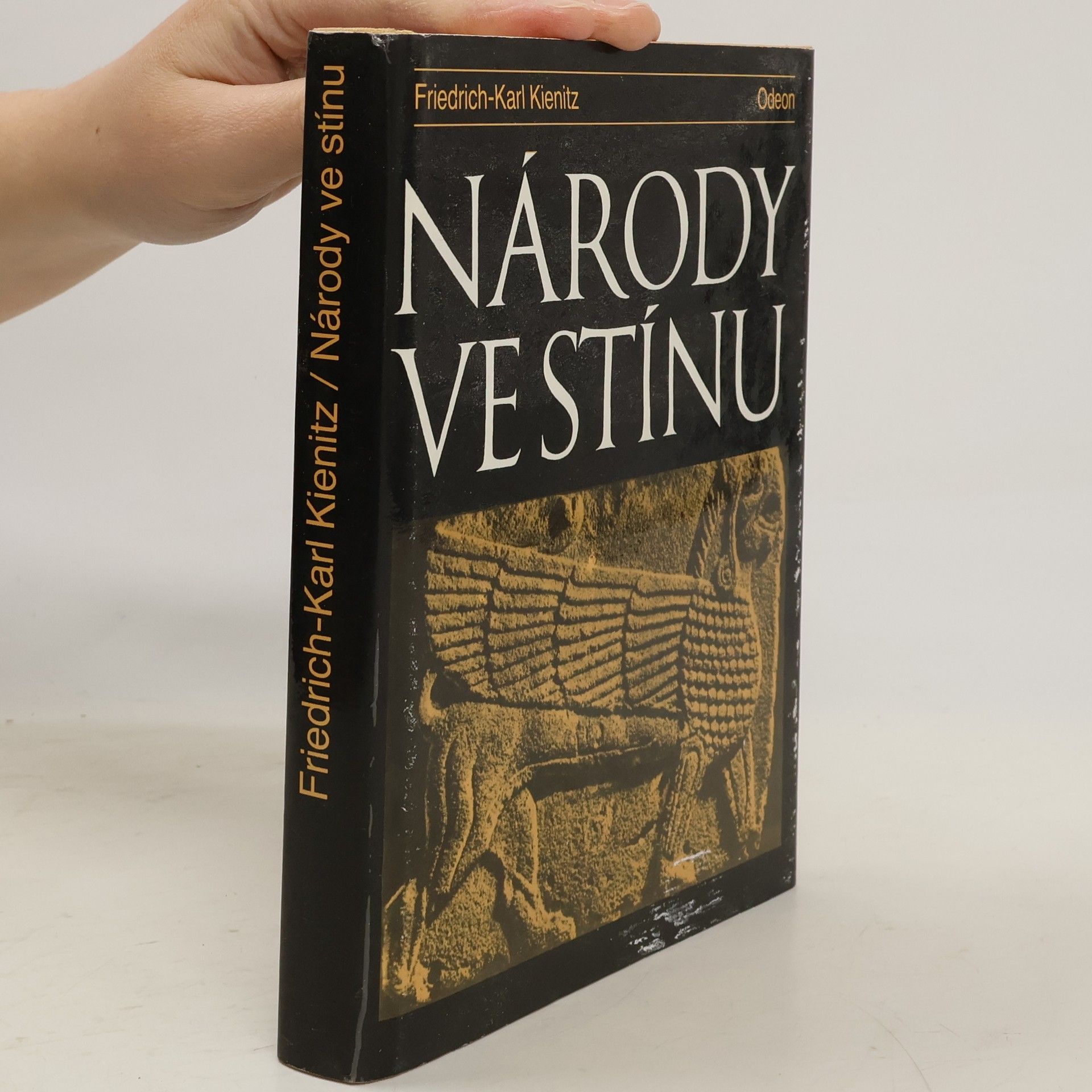 Friedrich Karl Kienitz Národy ve stínu