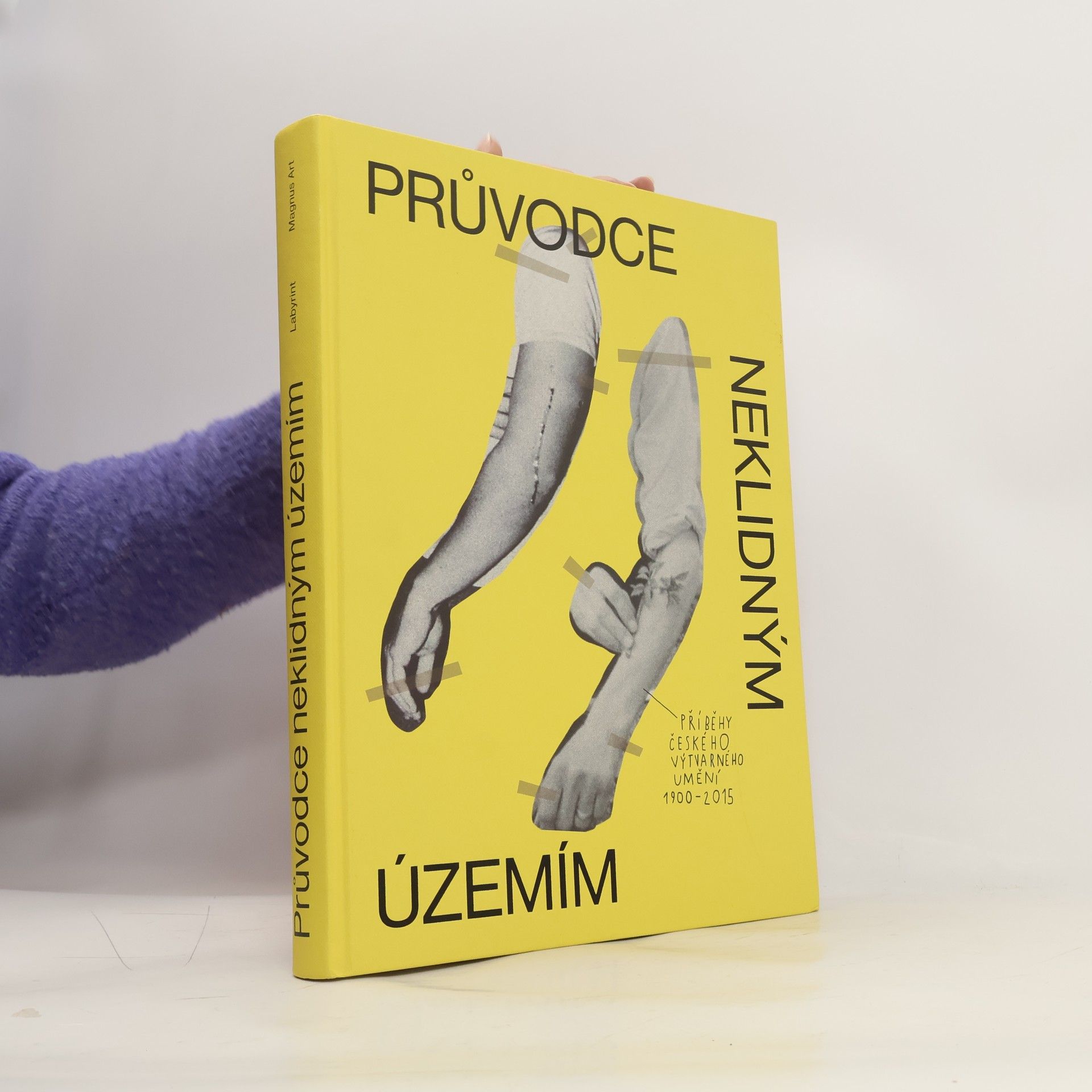 Průvodce neklidným územím. Příběhy českého výtvarného umění (1900-2015)