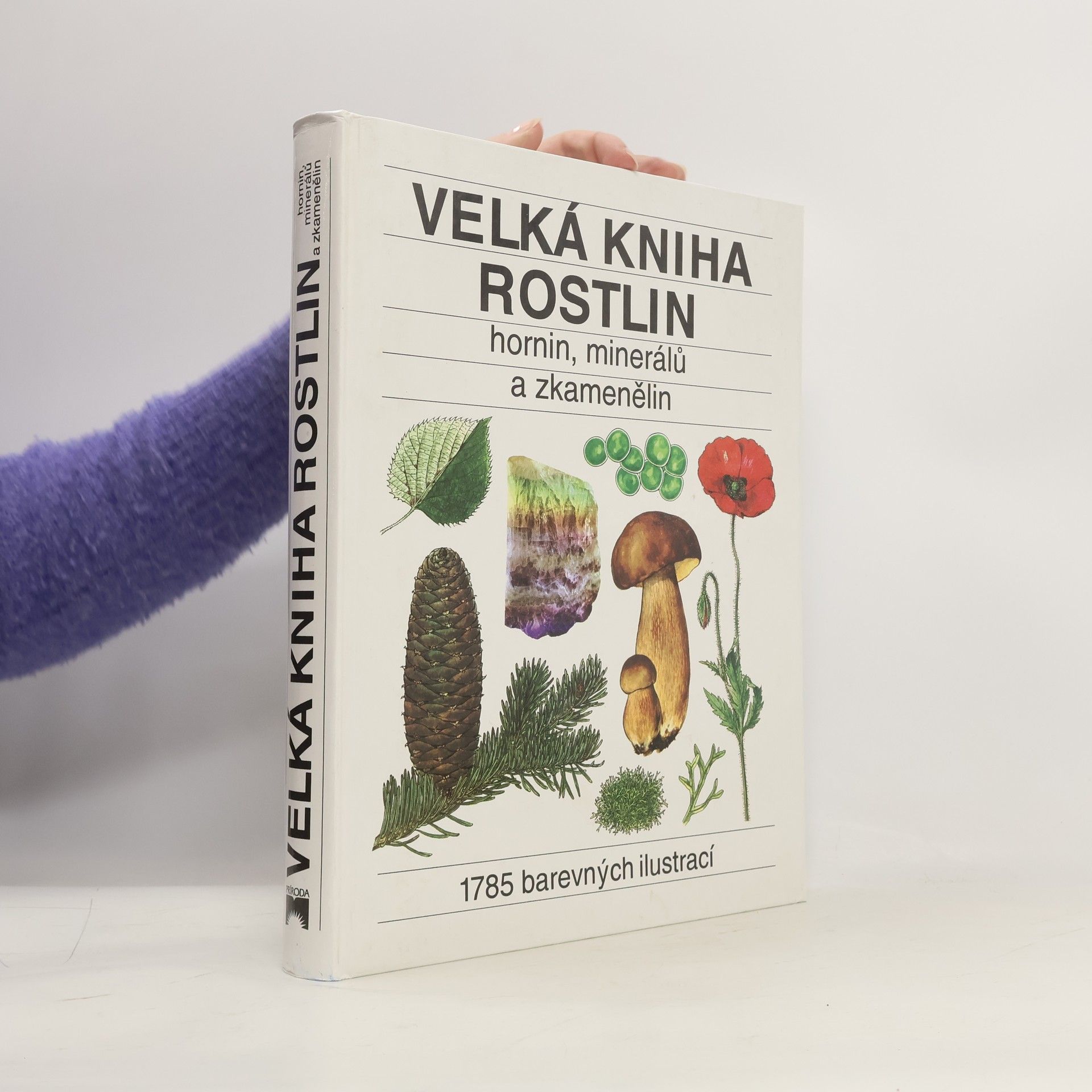 Jindřich Krejča Velká kniha rostlin, hornin, minerálů a zkamenělin