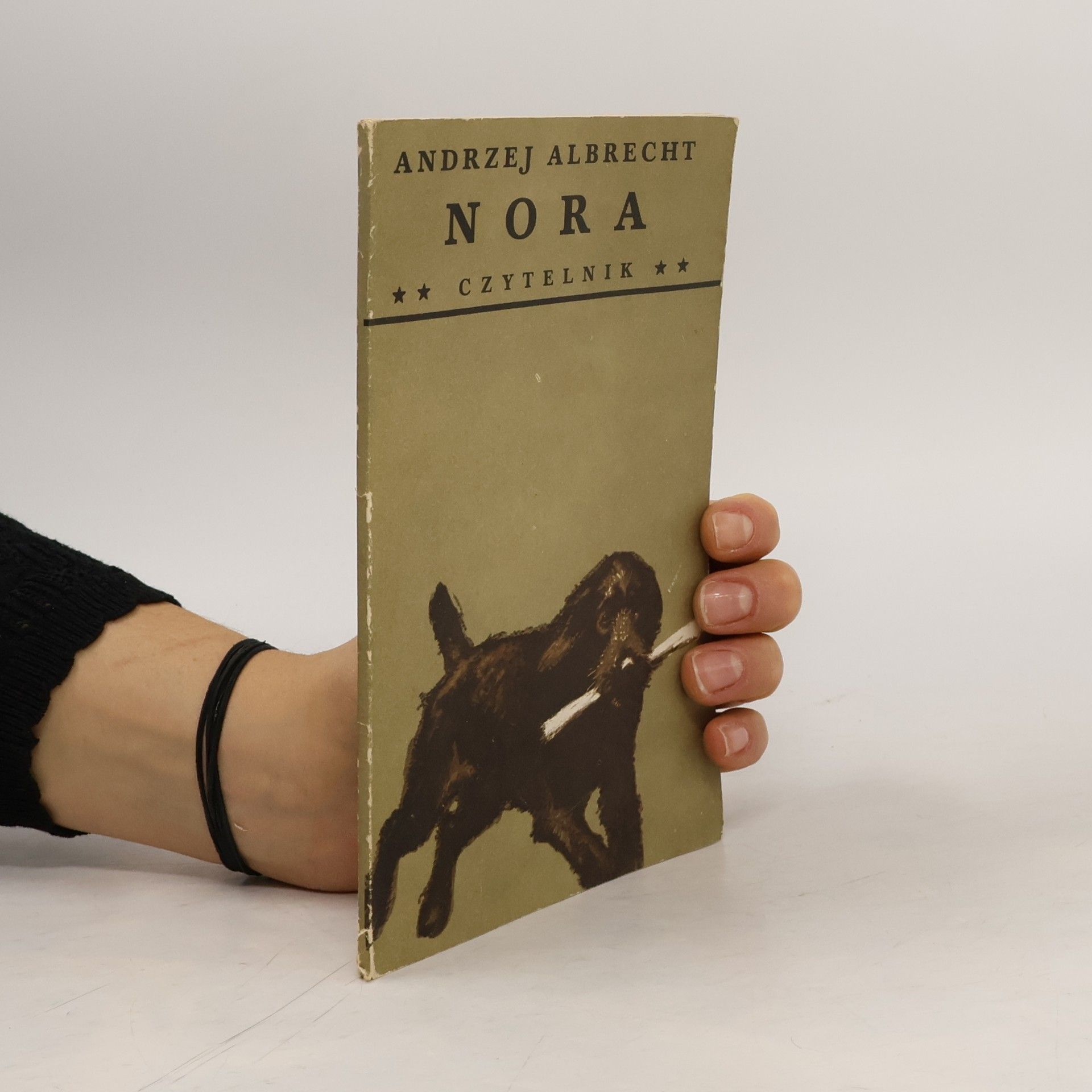 Andrzej Albrecht Nora