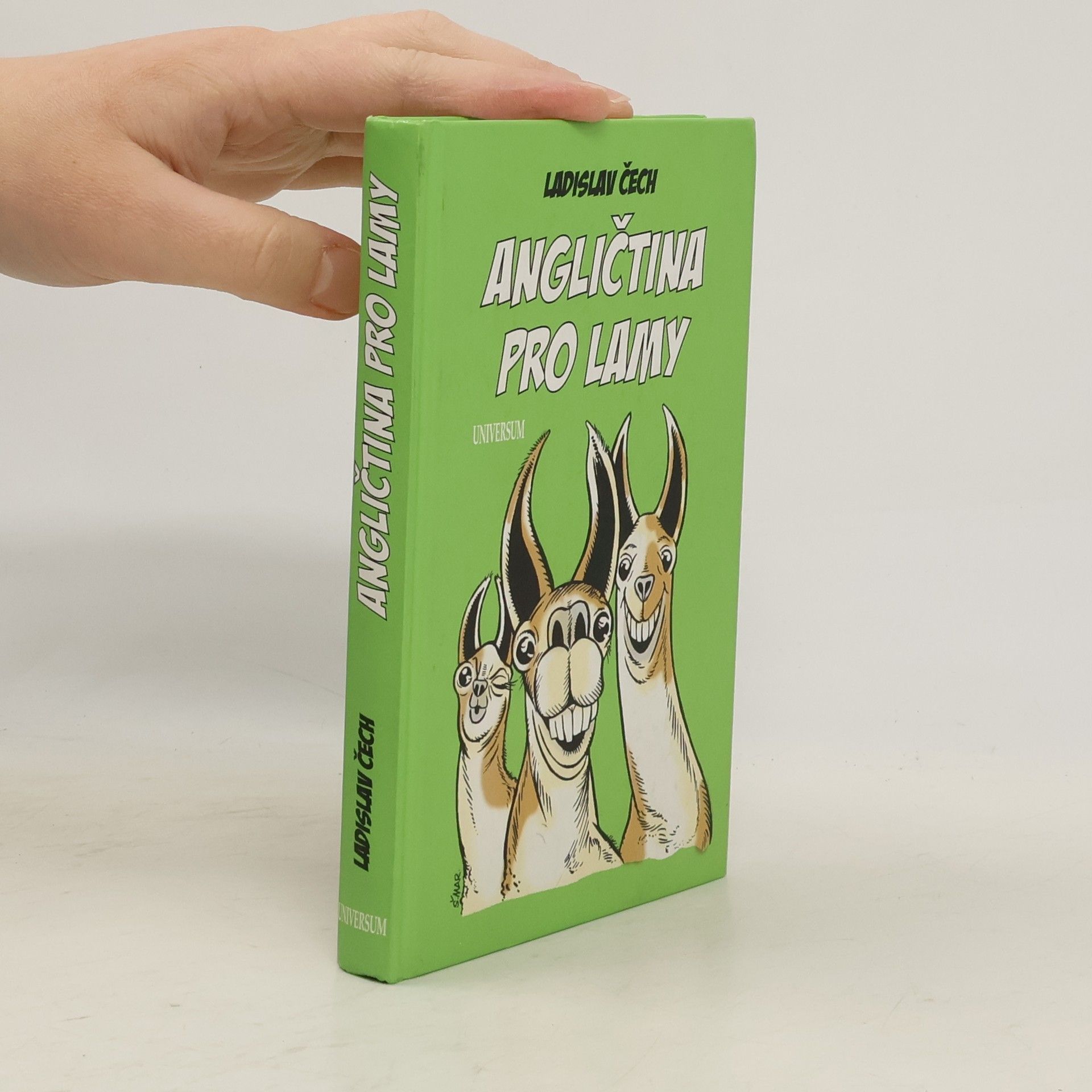 Angličtina pro lamy