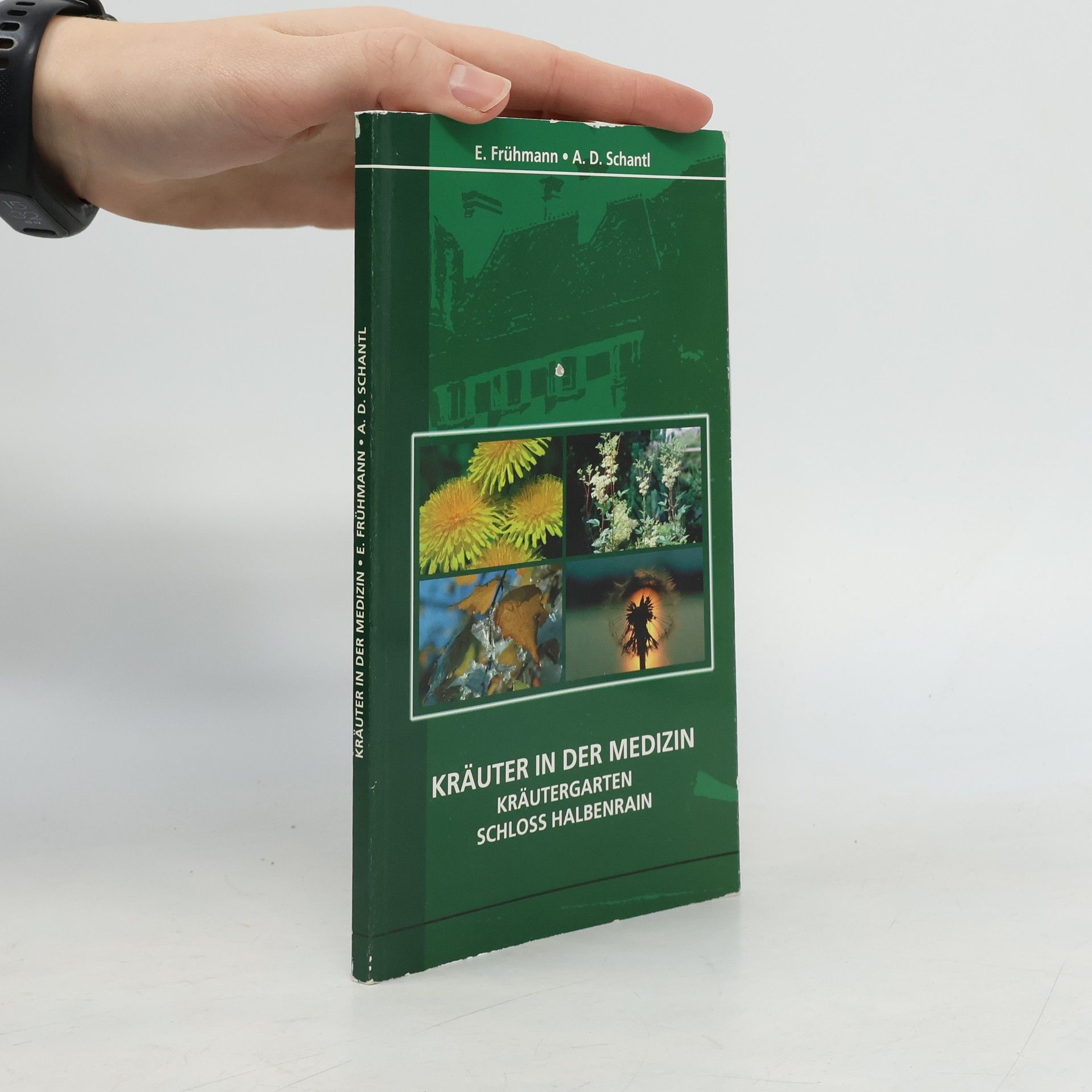 Kräuter in der Medizin