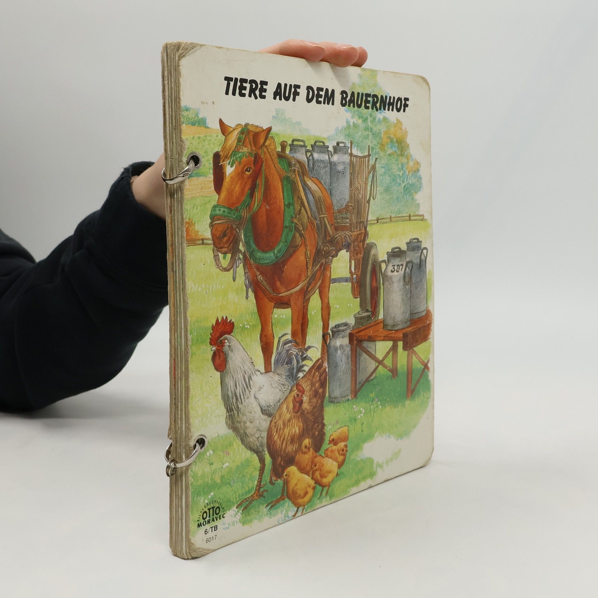 Autorenkollektiv Tiere auf dem Bauernhof