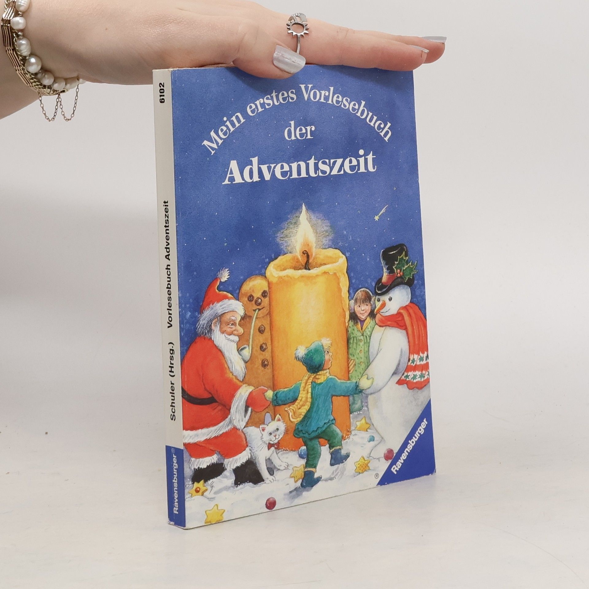 Kolektív autorov Mein erstes Vorlesebuch der Adventszeit