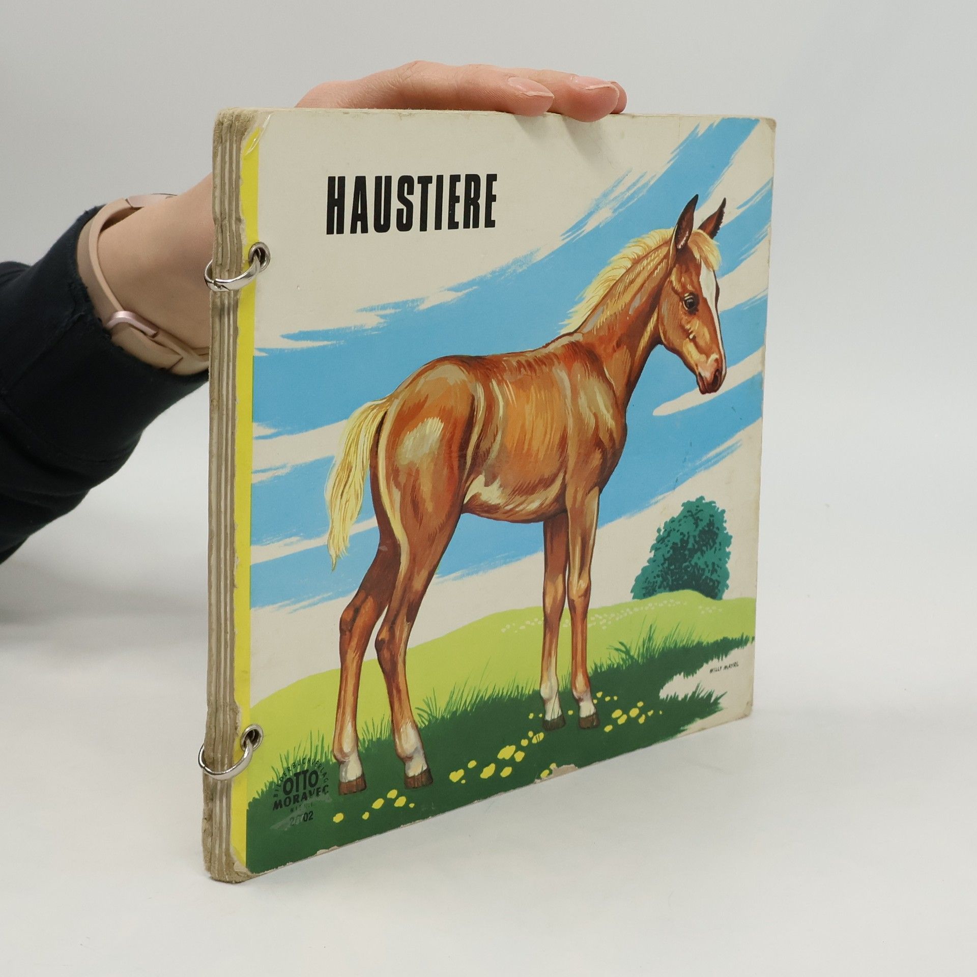 Autorenkollektiv Haustiere