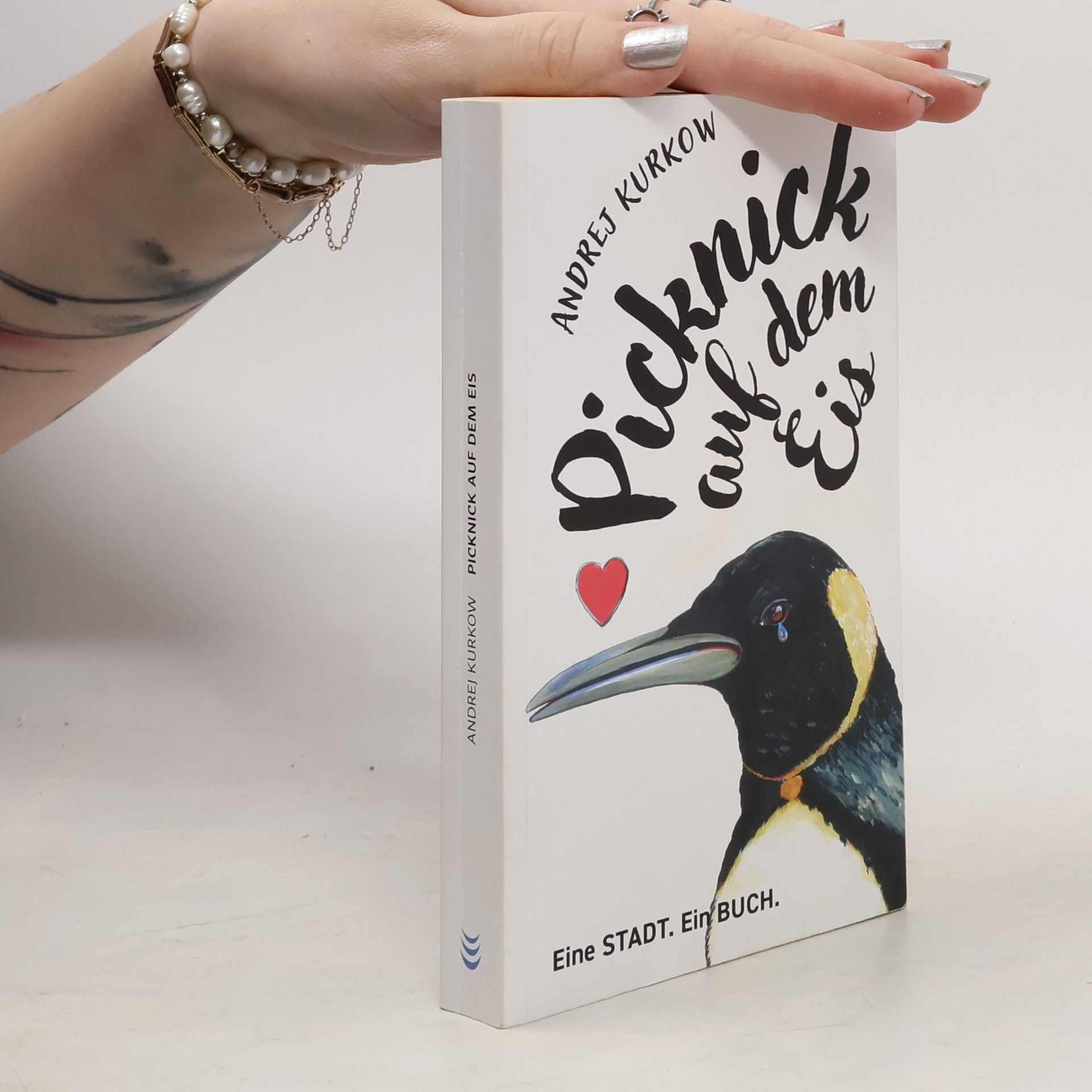 Andrey Kurkov Picknick auf dem Eis