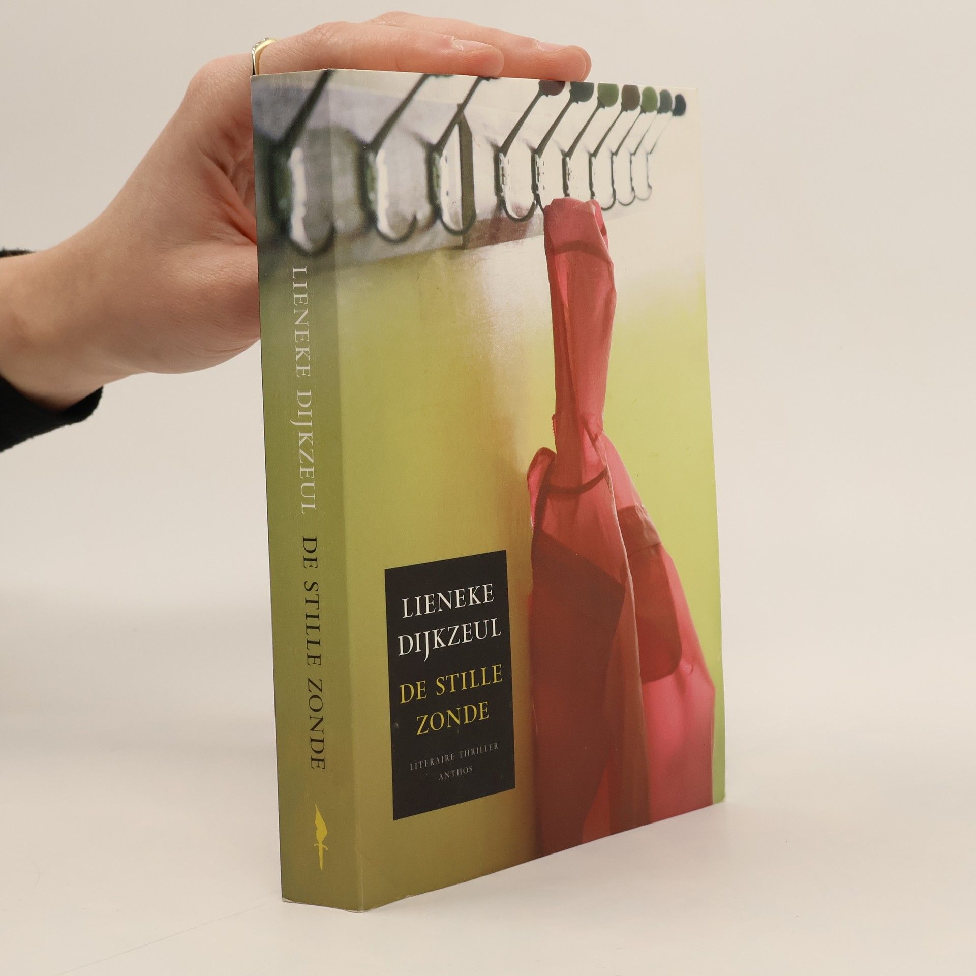 Lieneke Dijkzeul De stille zonde