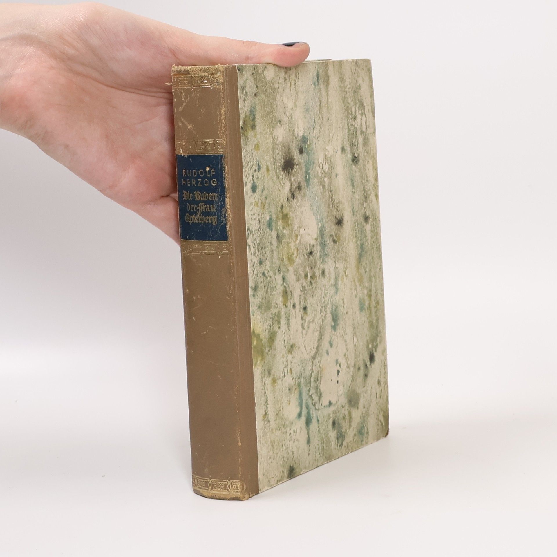 Rudolf Herzog Die Buben der Frau Opterberg