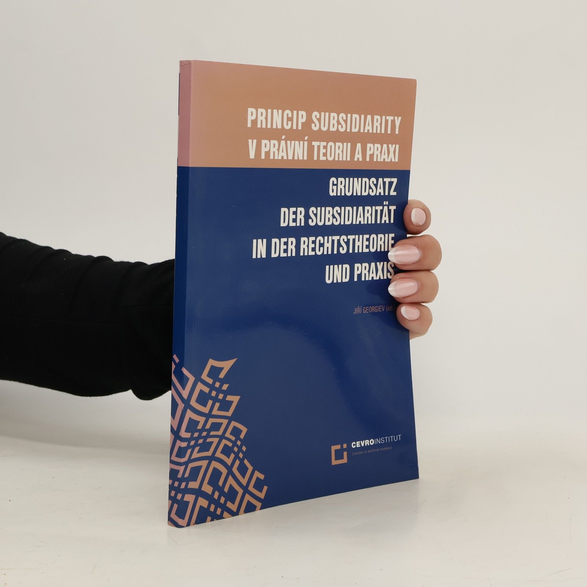 Grundsatz der Subsidiarität in der Rechtstheorie und Praxis