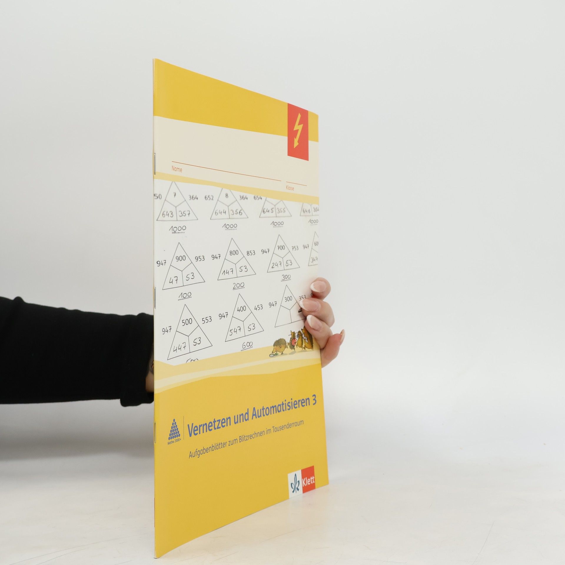 Erich Ch. Wittmann Mathe 2000 - 3: Vernetzen und Automatisieren