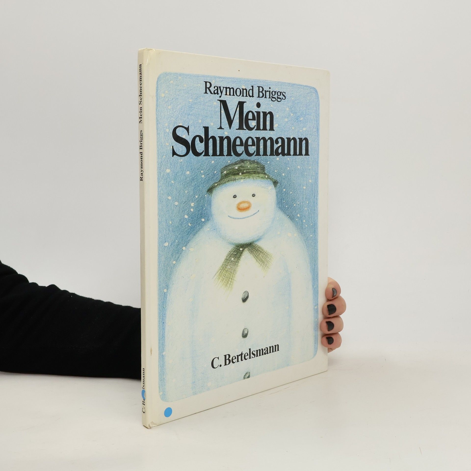 Raymond Briggs Mein Schneemann