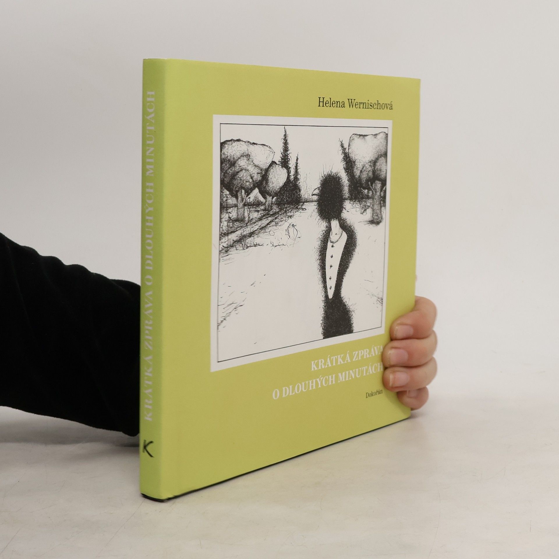 Helena Wernischowá Krátká zpráva o dlouhých minutách