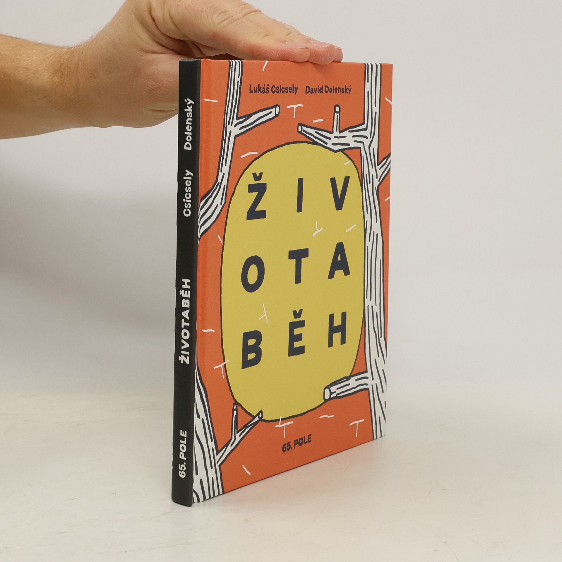 Lukáš Csicsely Životaběh