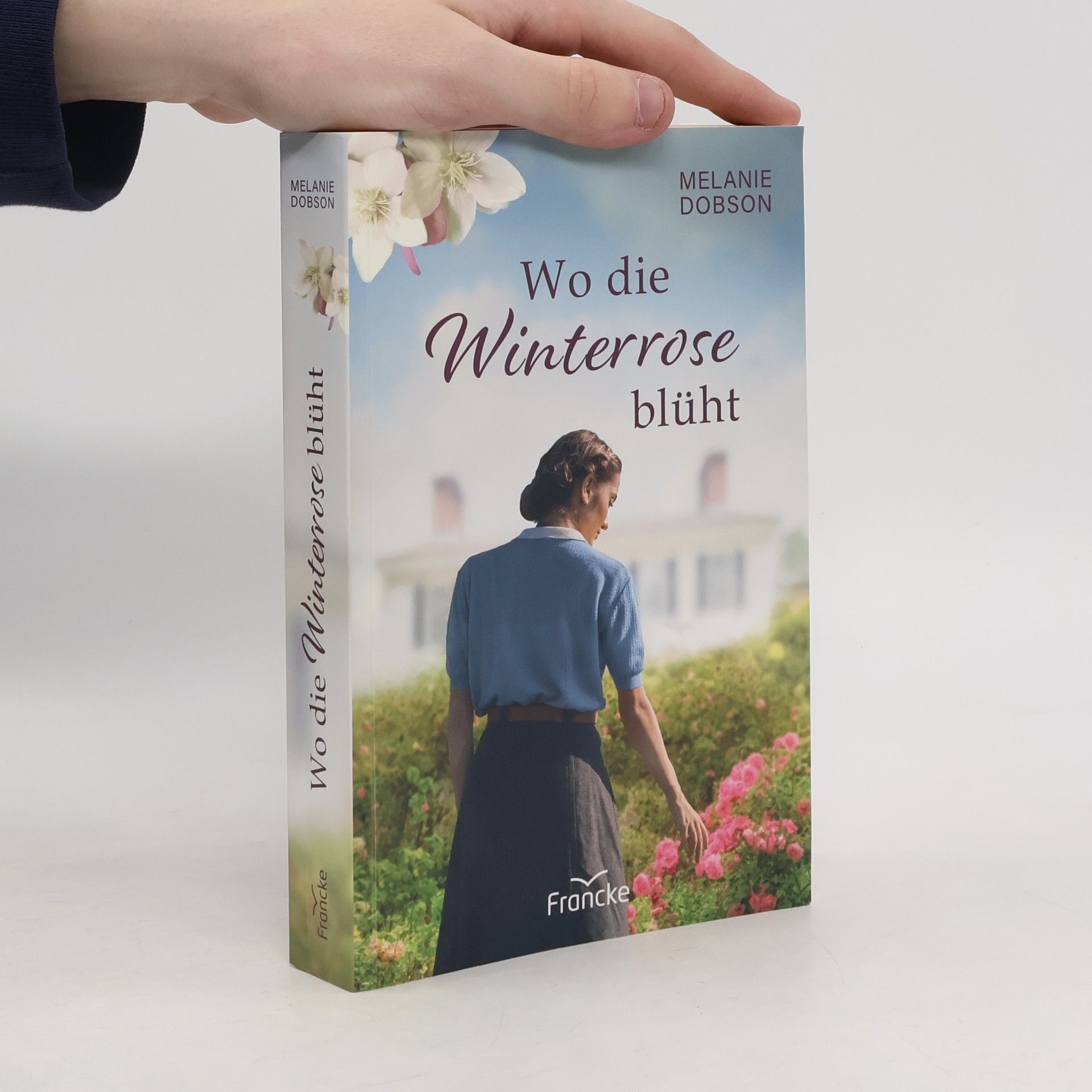 Wo die Winterrose blüht