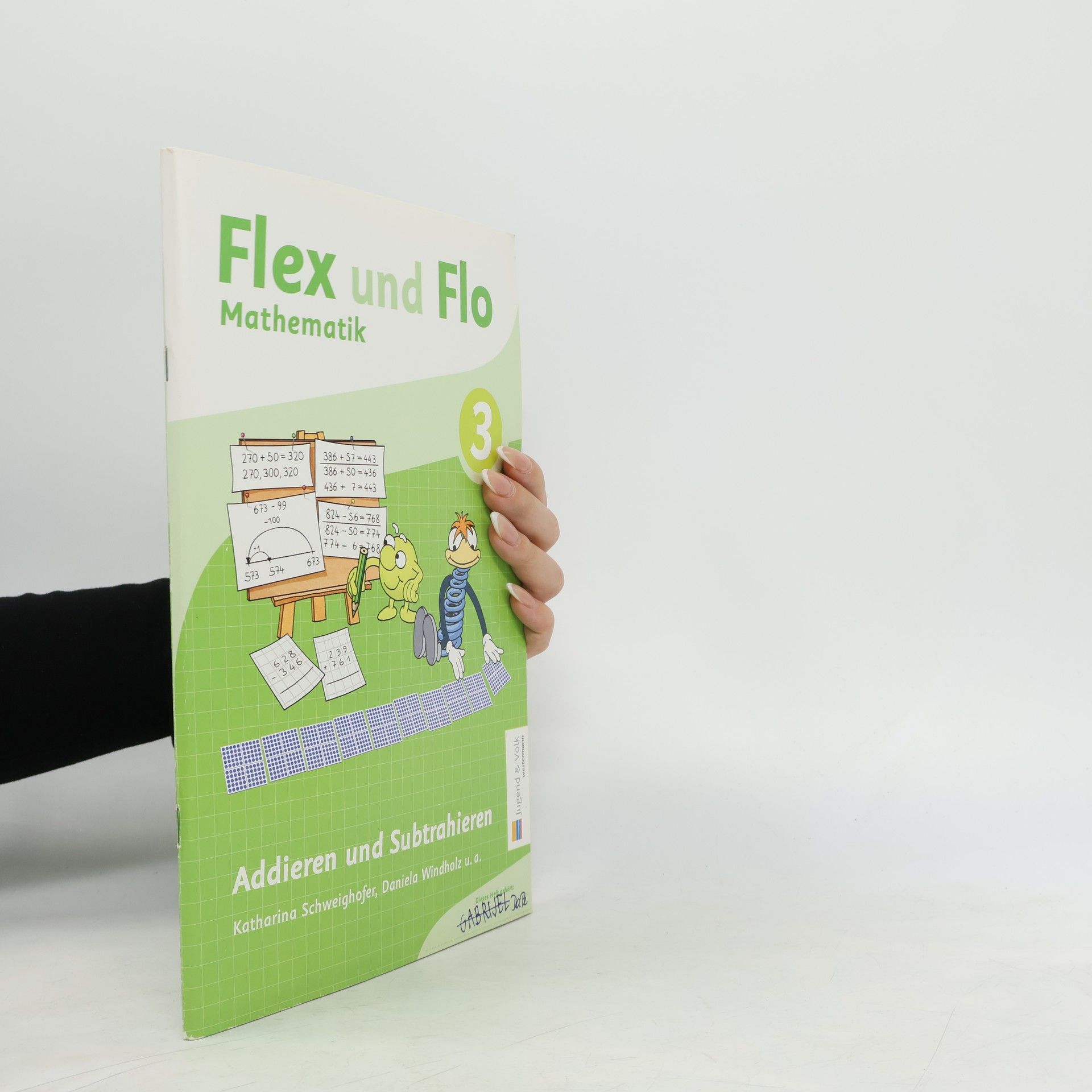 Autorenkollektiv Flex und Flo. Mathematik 3