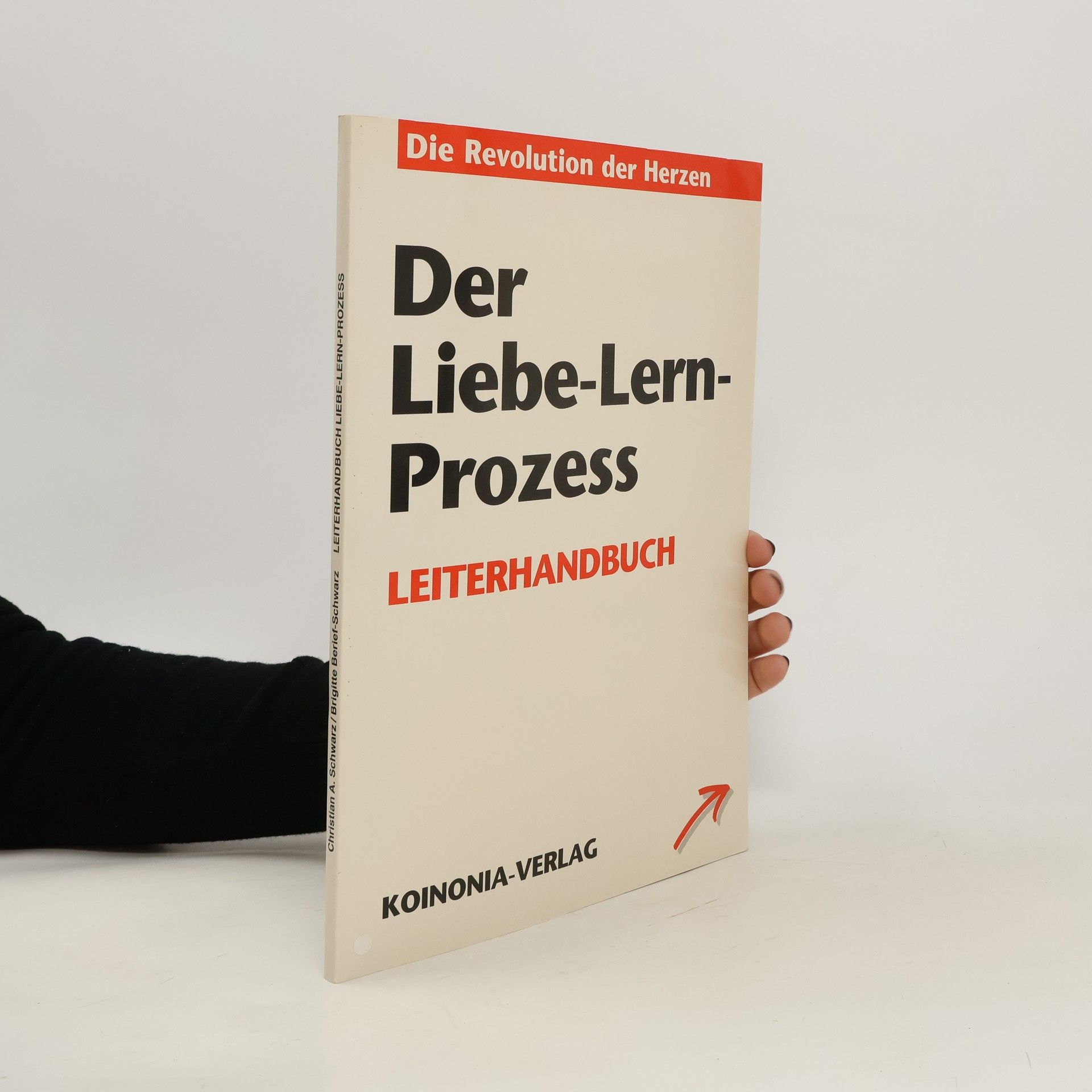 Kolektív autorov Der Liebe-Lern-Prozess