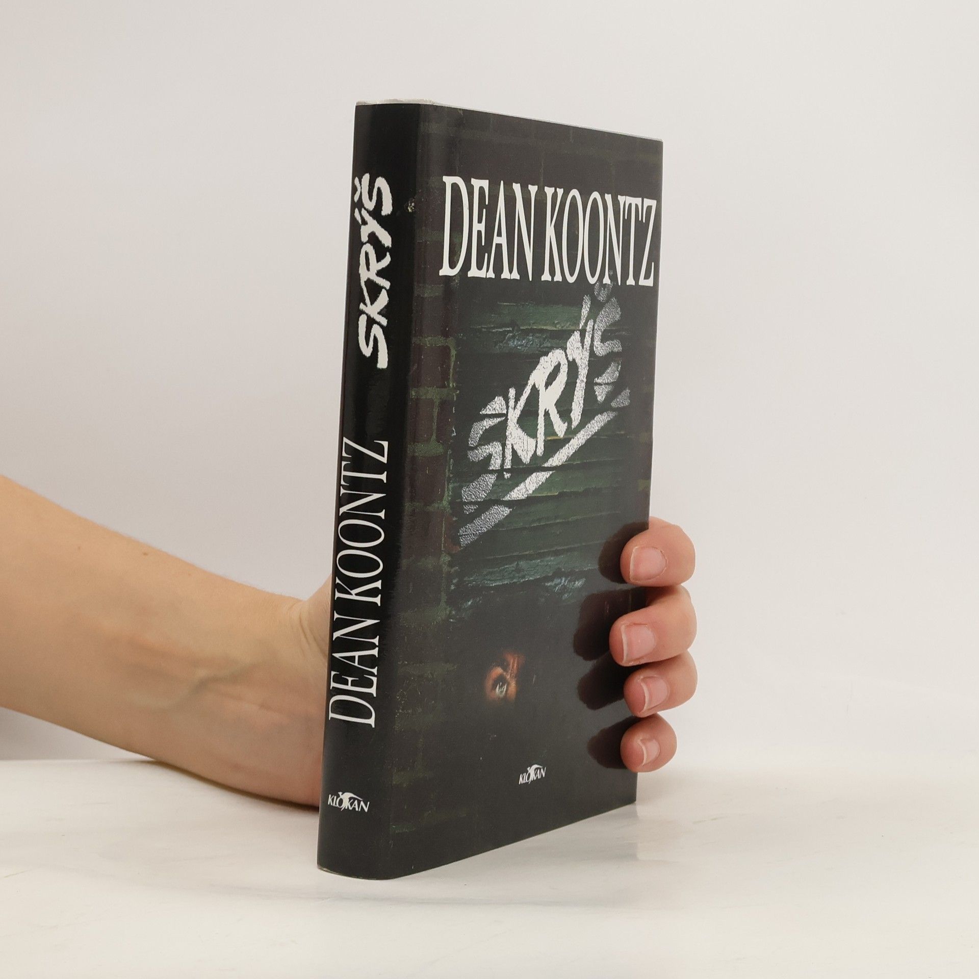 Dean R. Koontz Skrýš