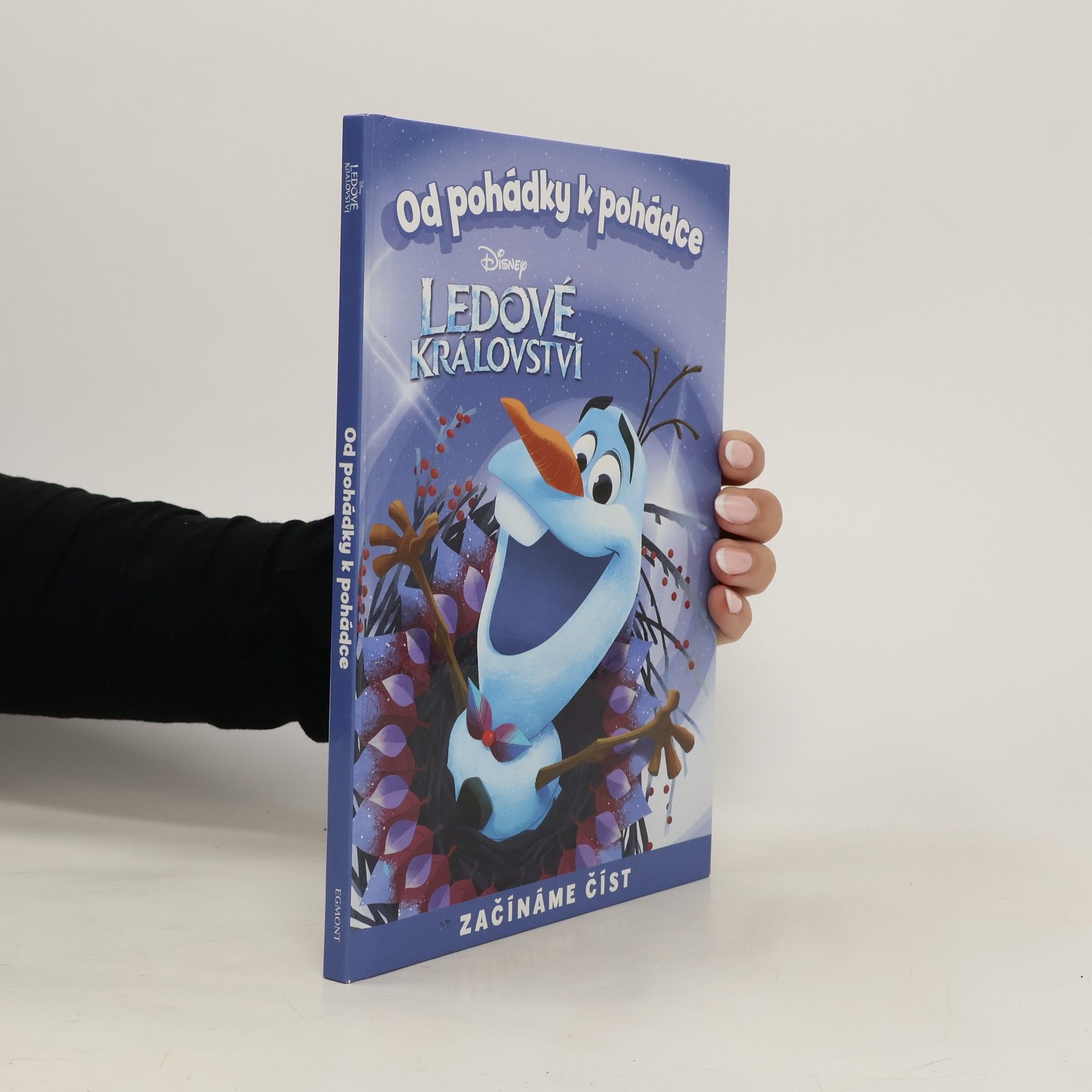 Amy Sky Koster Od pohádky k pohádce. Ledové království