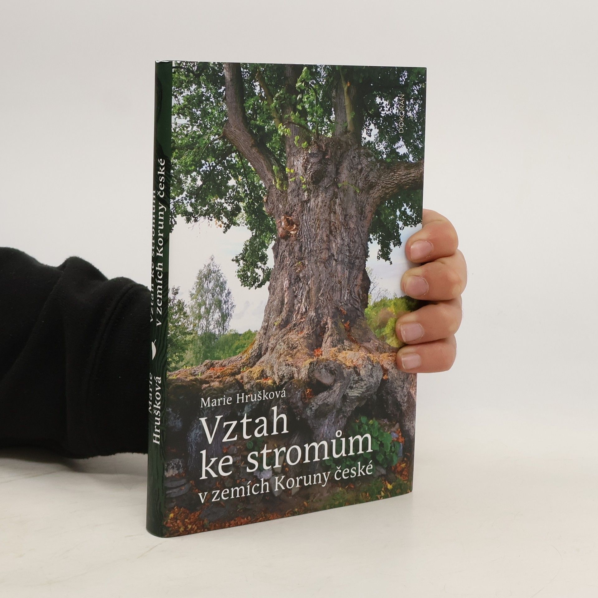 Vztah ke stromům v zemích Koruny české