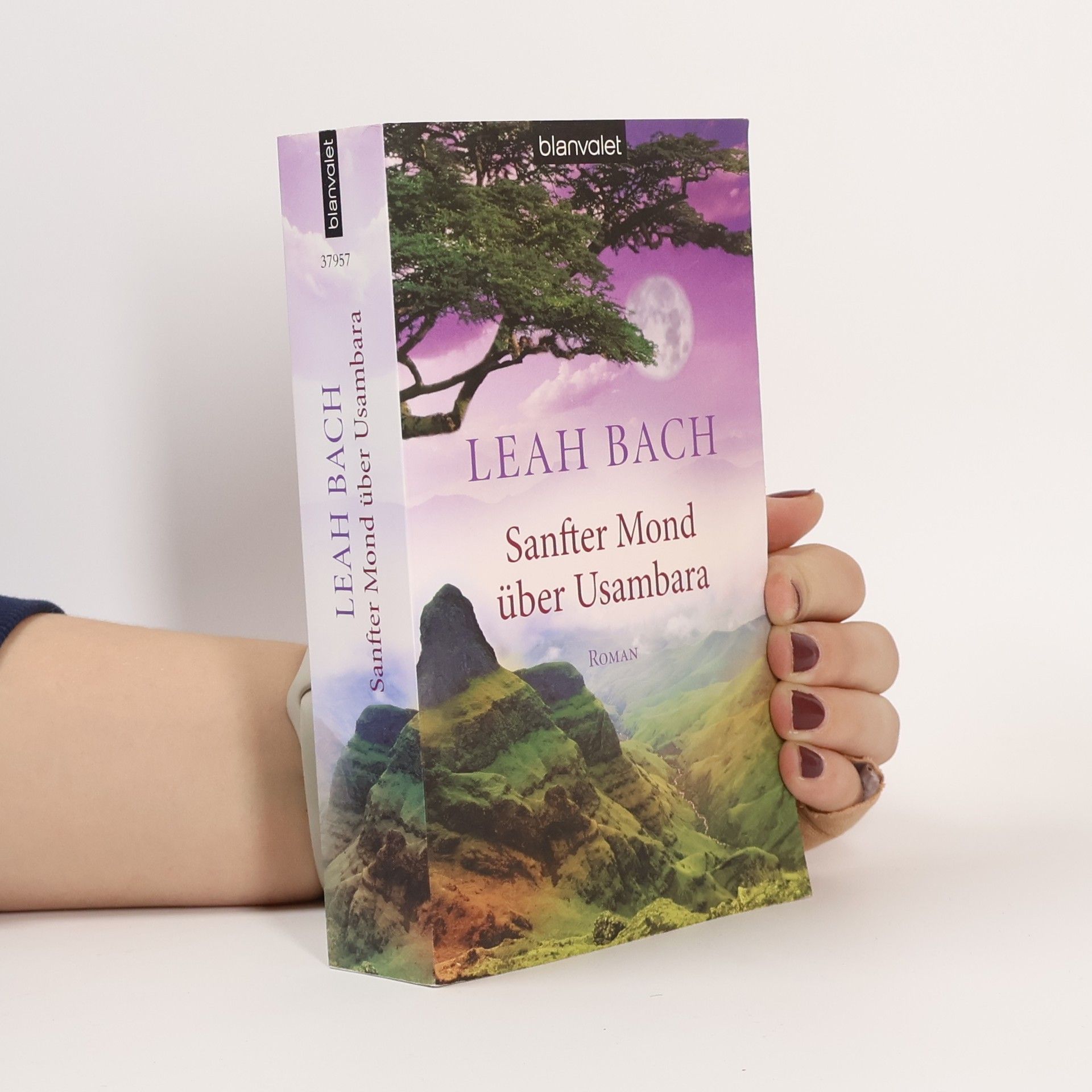 Sanfter Mond über Usambara