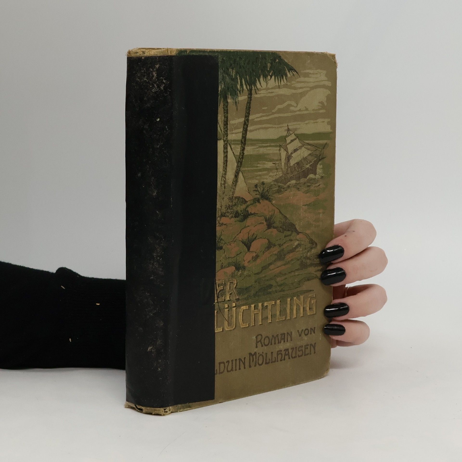 Balduin Möllhausen Der Flüchtling