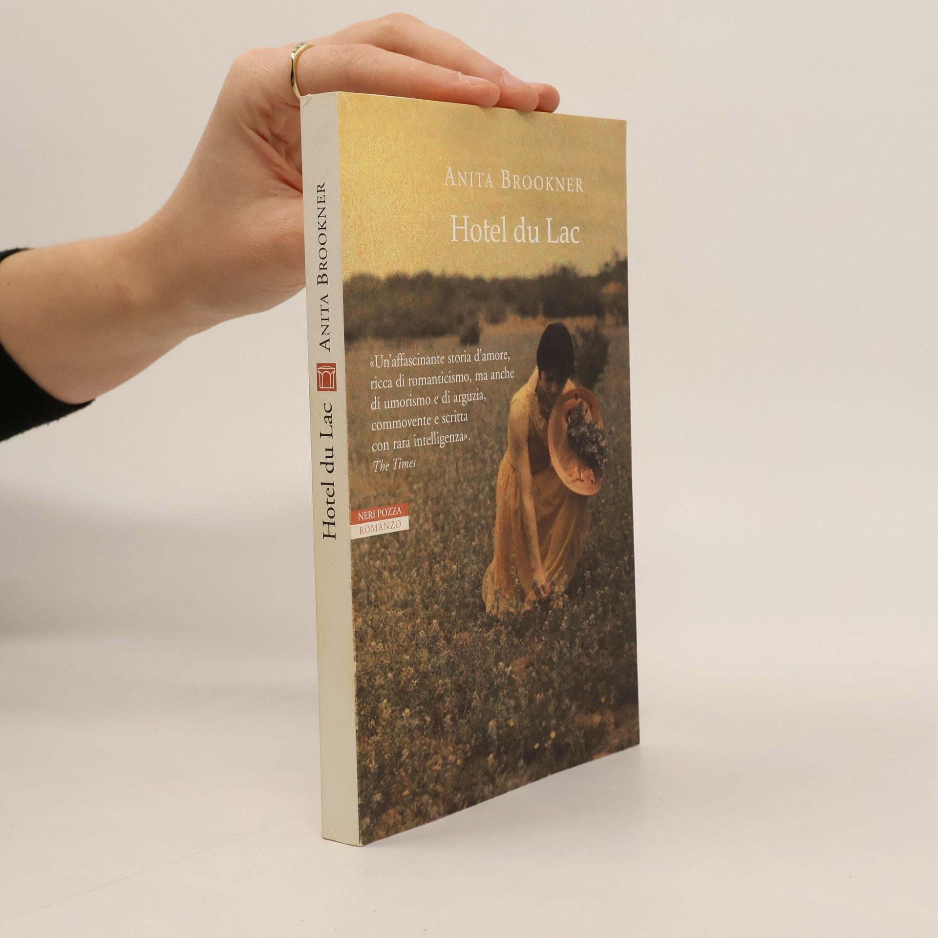 Anita Brookner Hotel du Lac