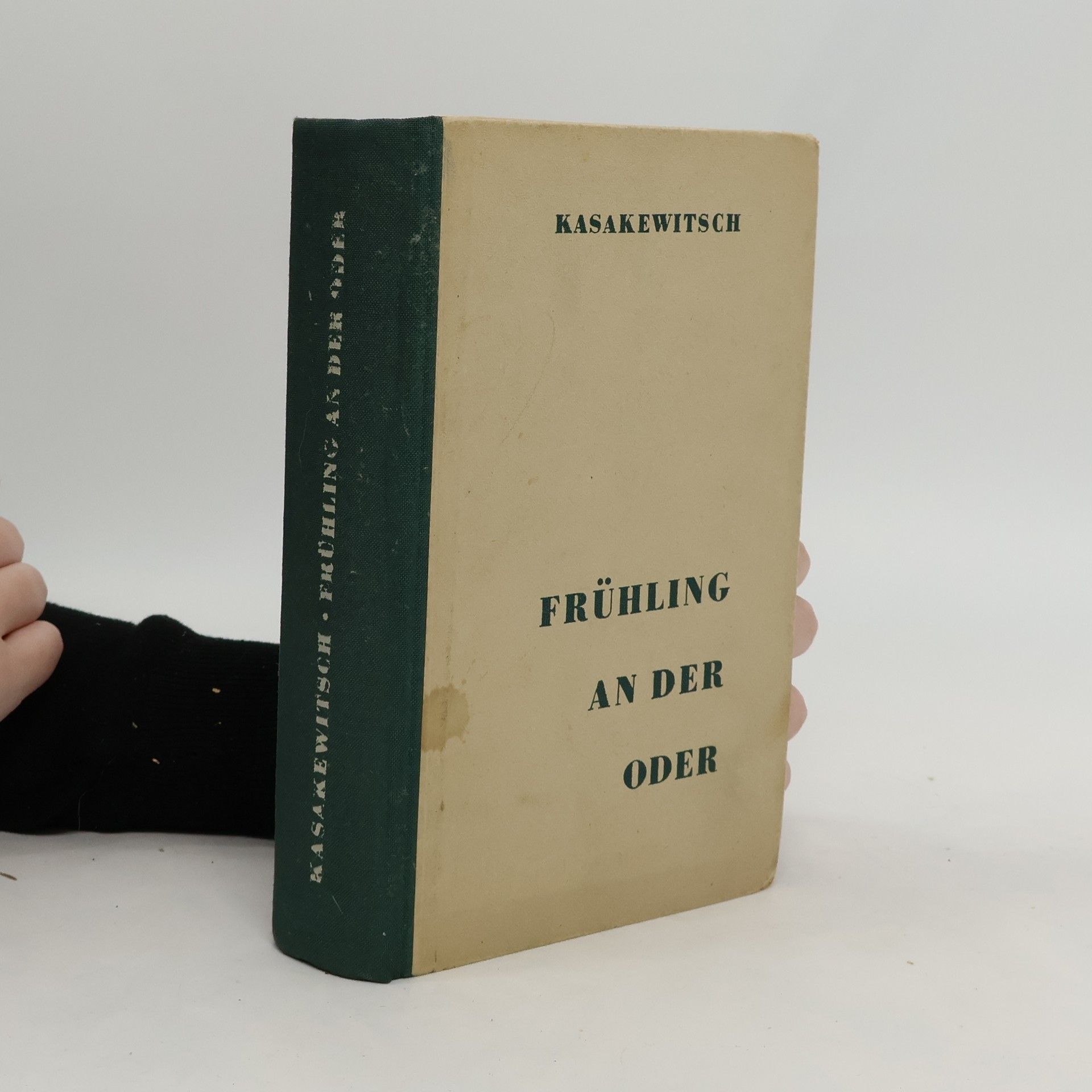 Emanual Kasakewitsch Frühling an der Oder