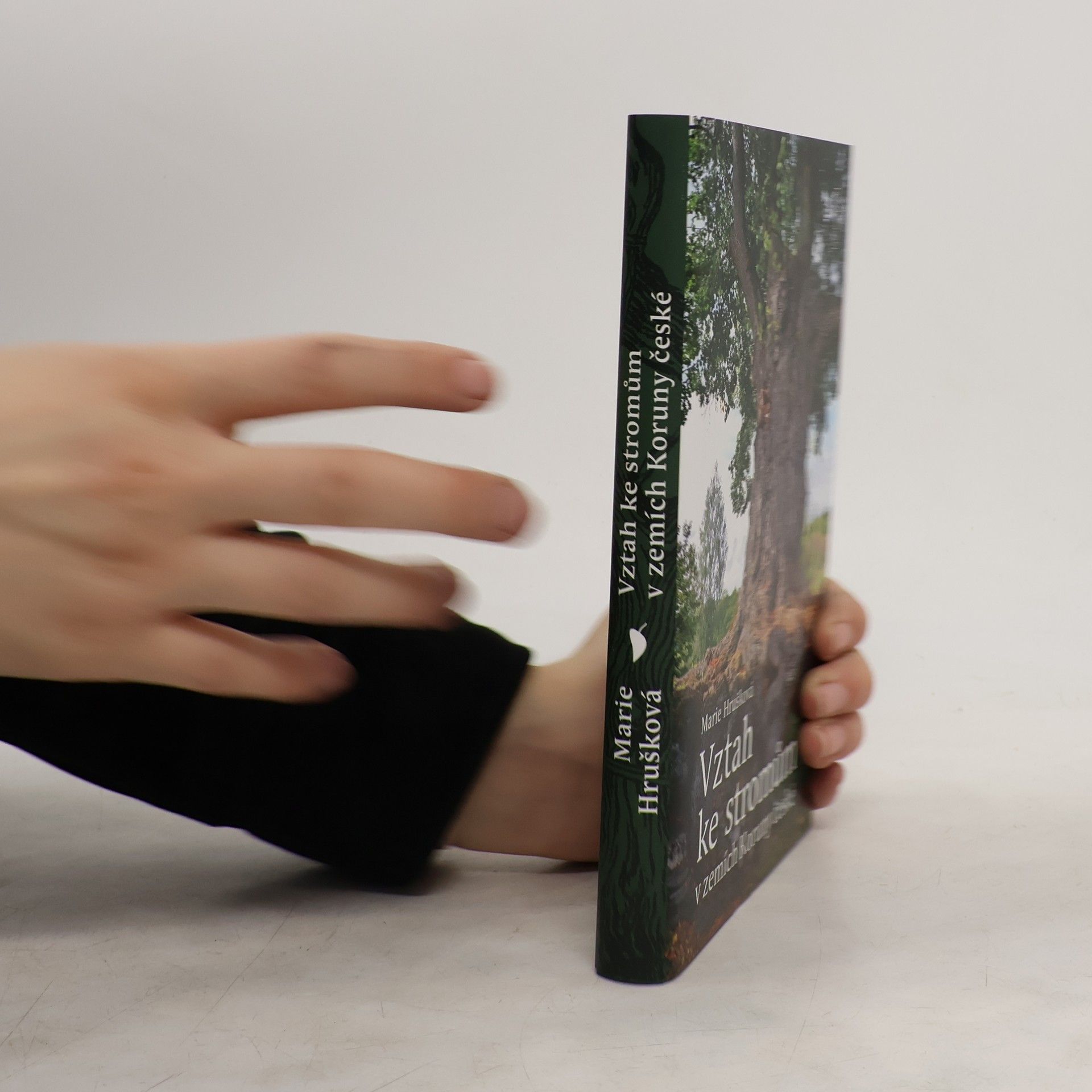 Vztah ke stromům v zemích Koruny české