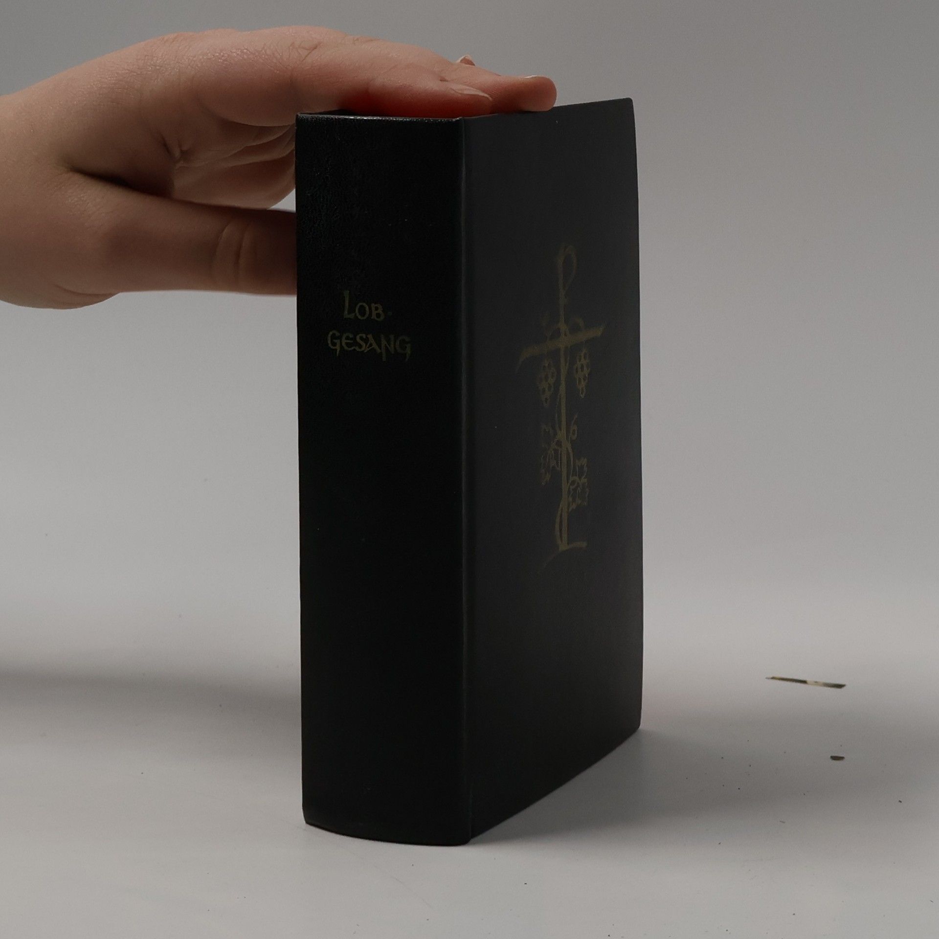 Collectif d'auteurs Lobgesang