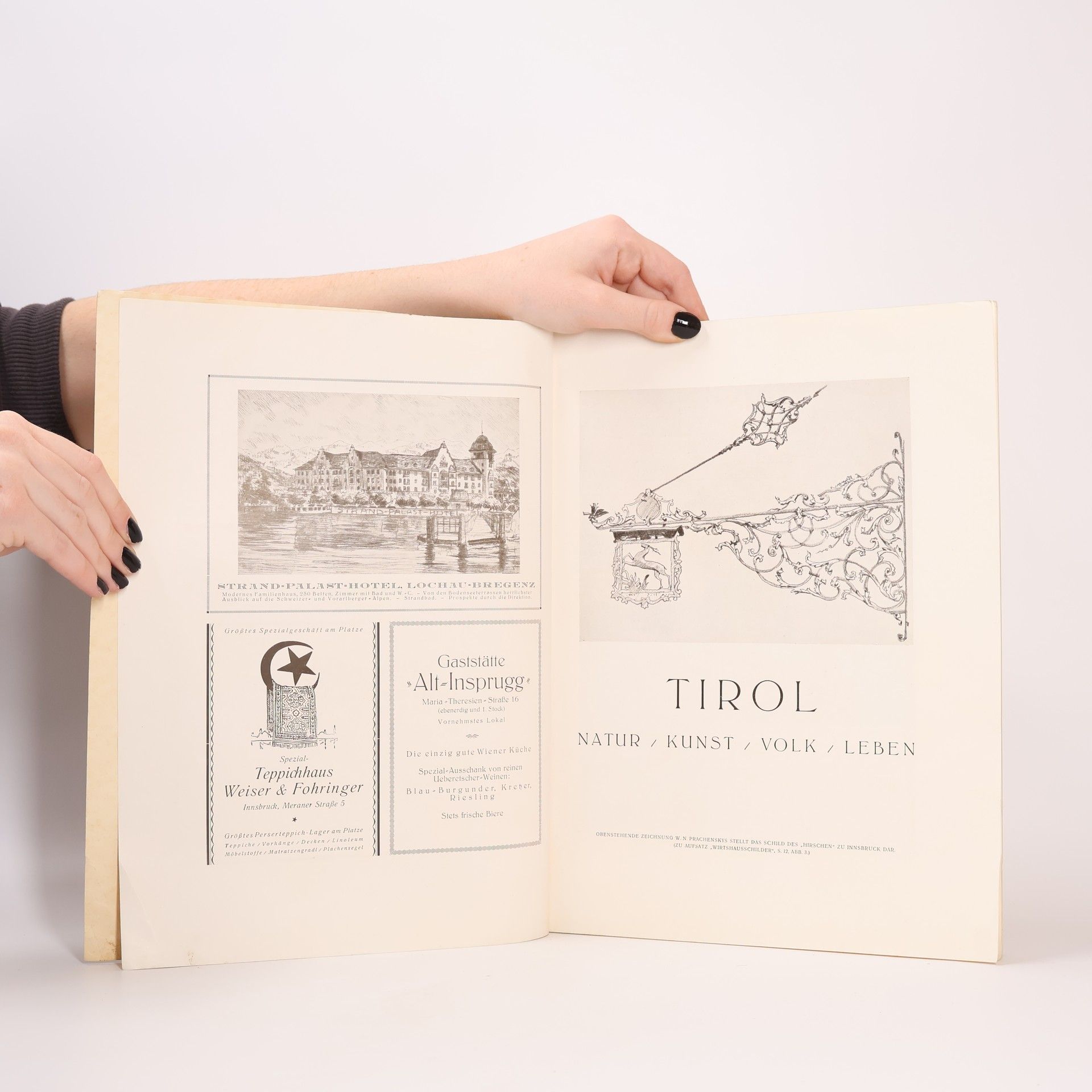 Kolektiv autorů Tirol. Natur, Kunst, Volk, Leben