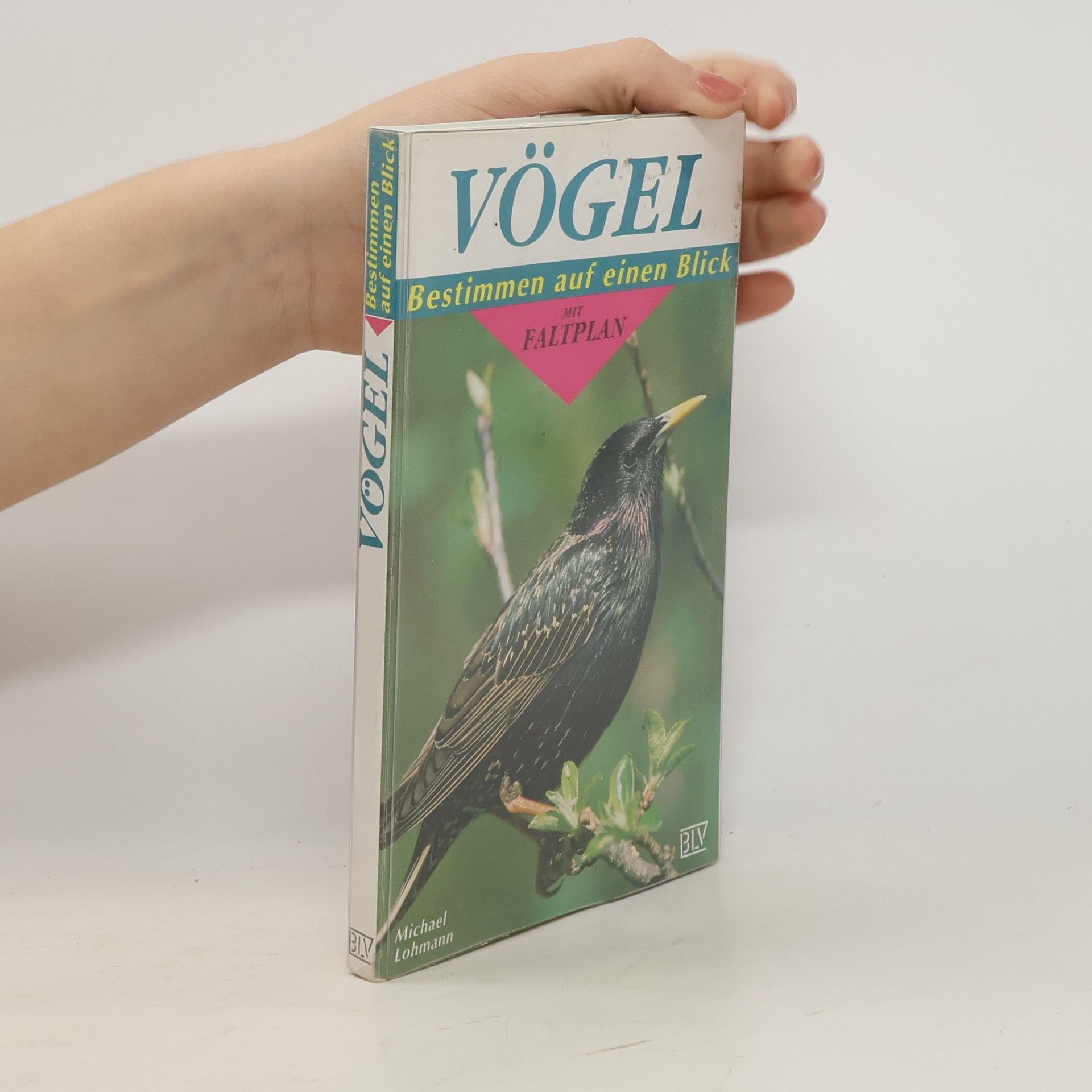 Michael Lohmann Vögel