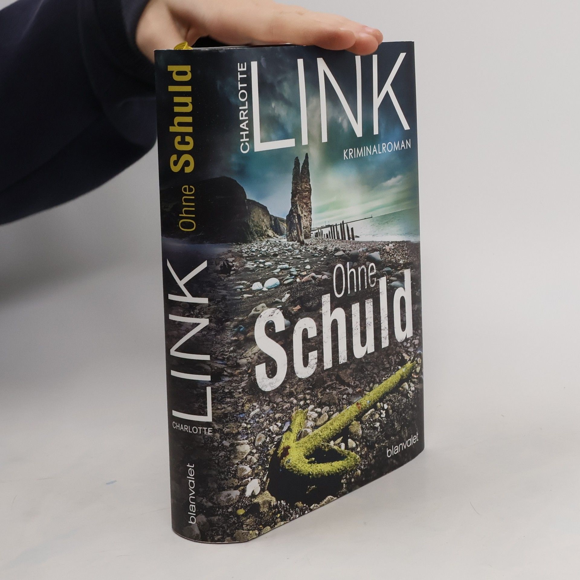 Charlotte Link Ohne Schuld