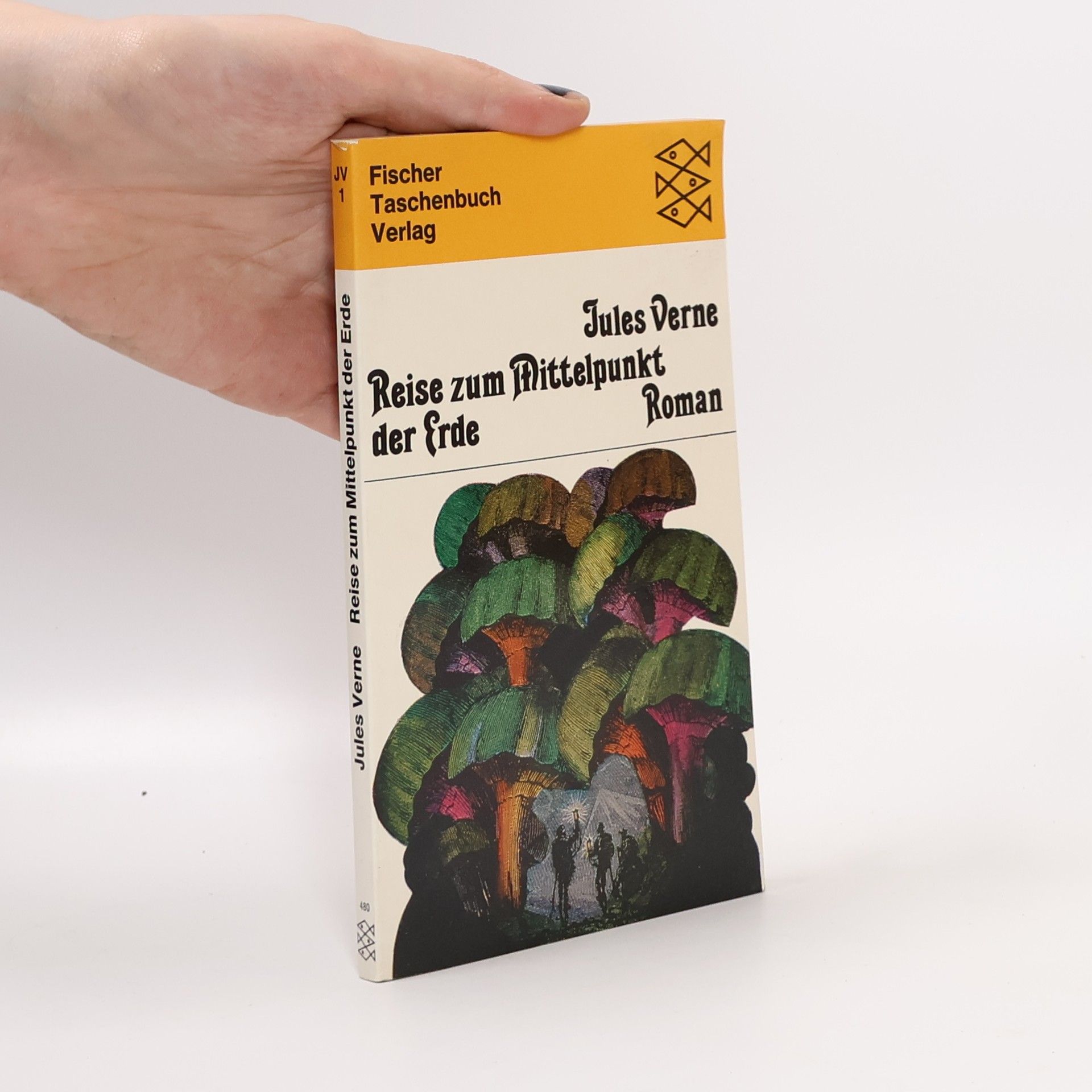 Jules Verne Reise zum Mittelpunkt der Erde