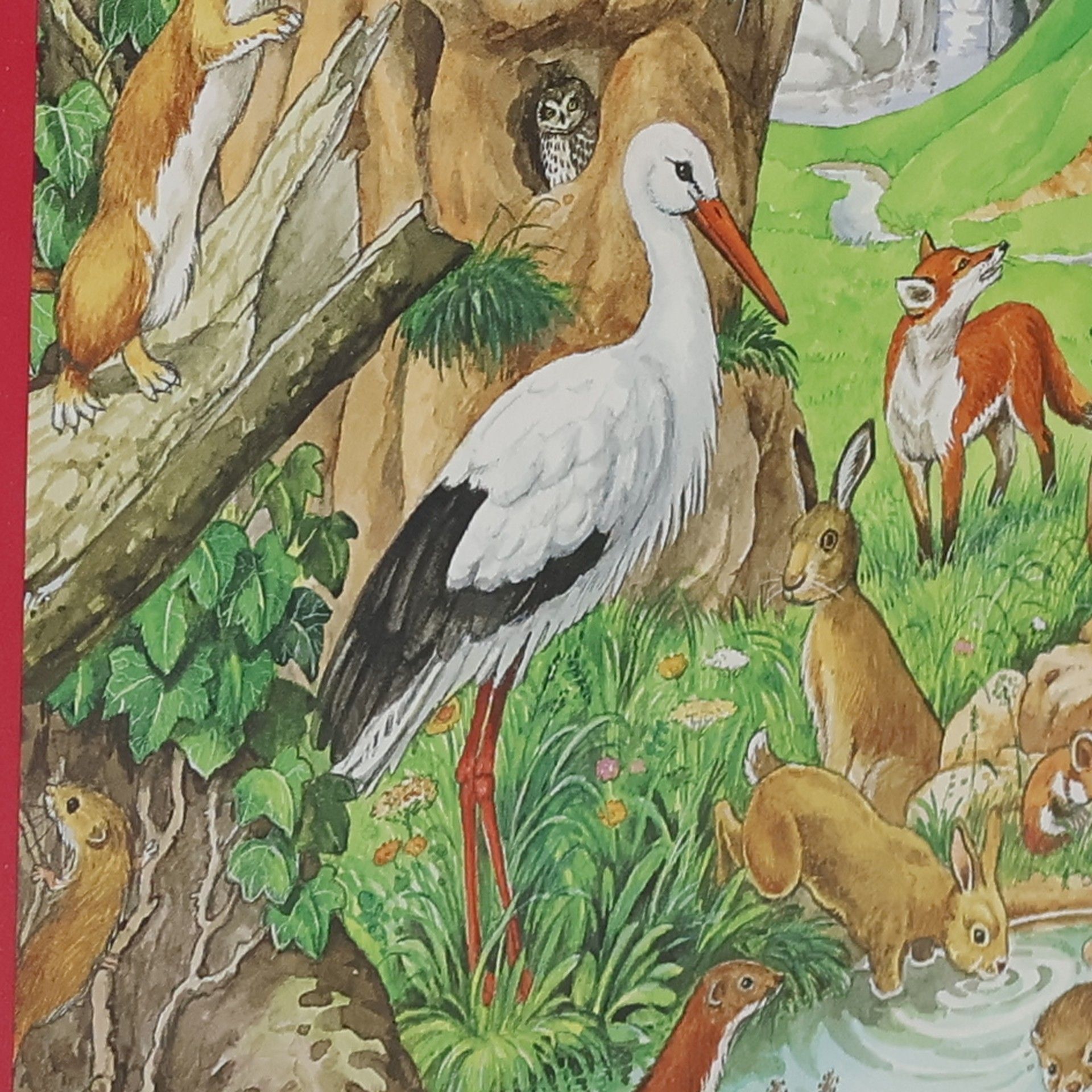 Anne Suess Co se děje v přírodě