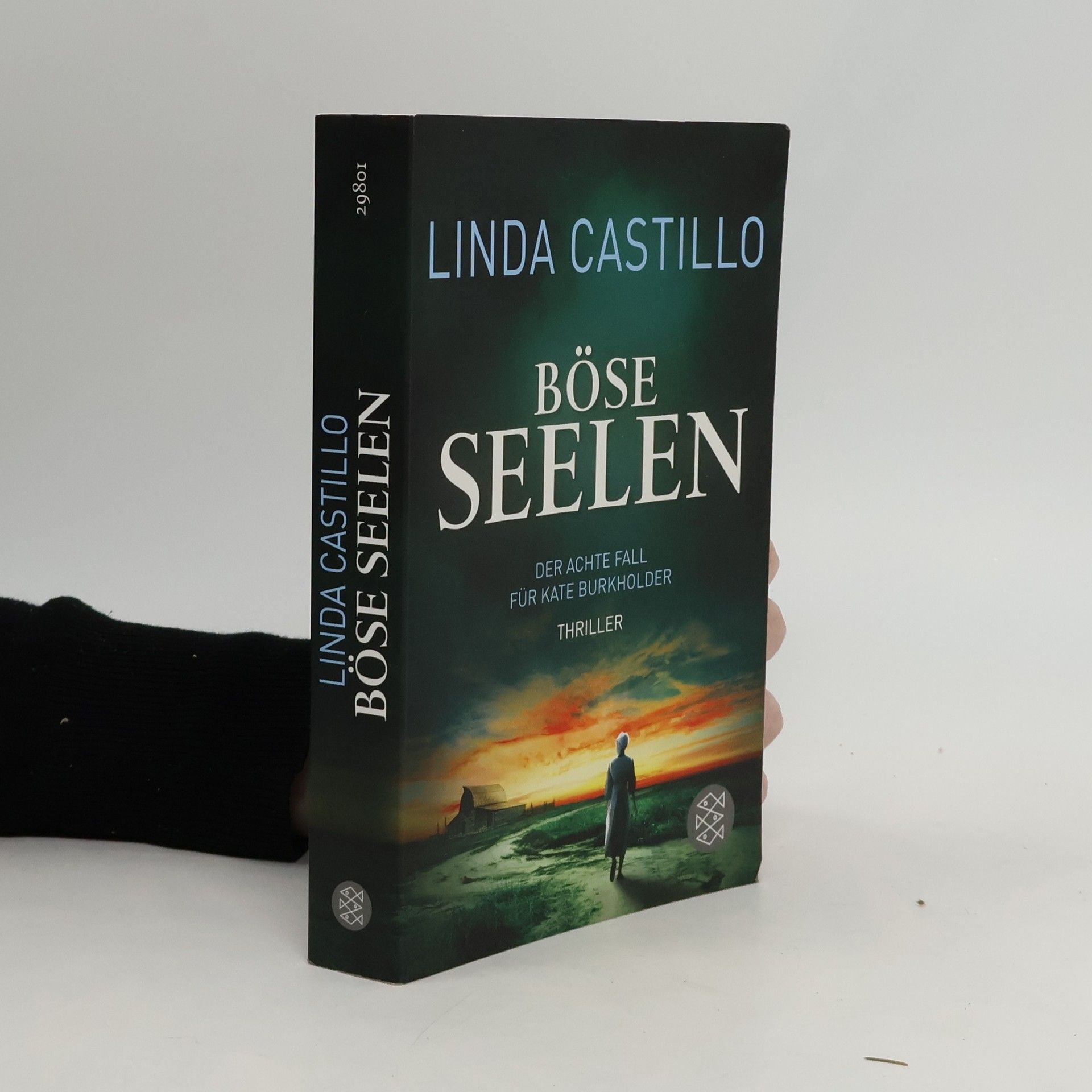 Linda Castillo Böse Seelen