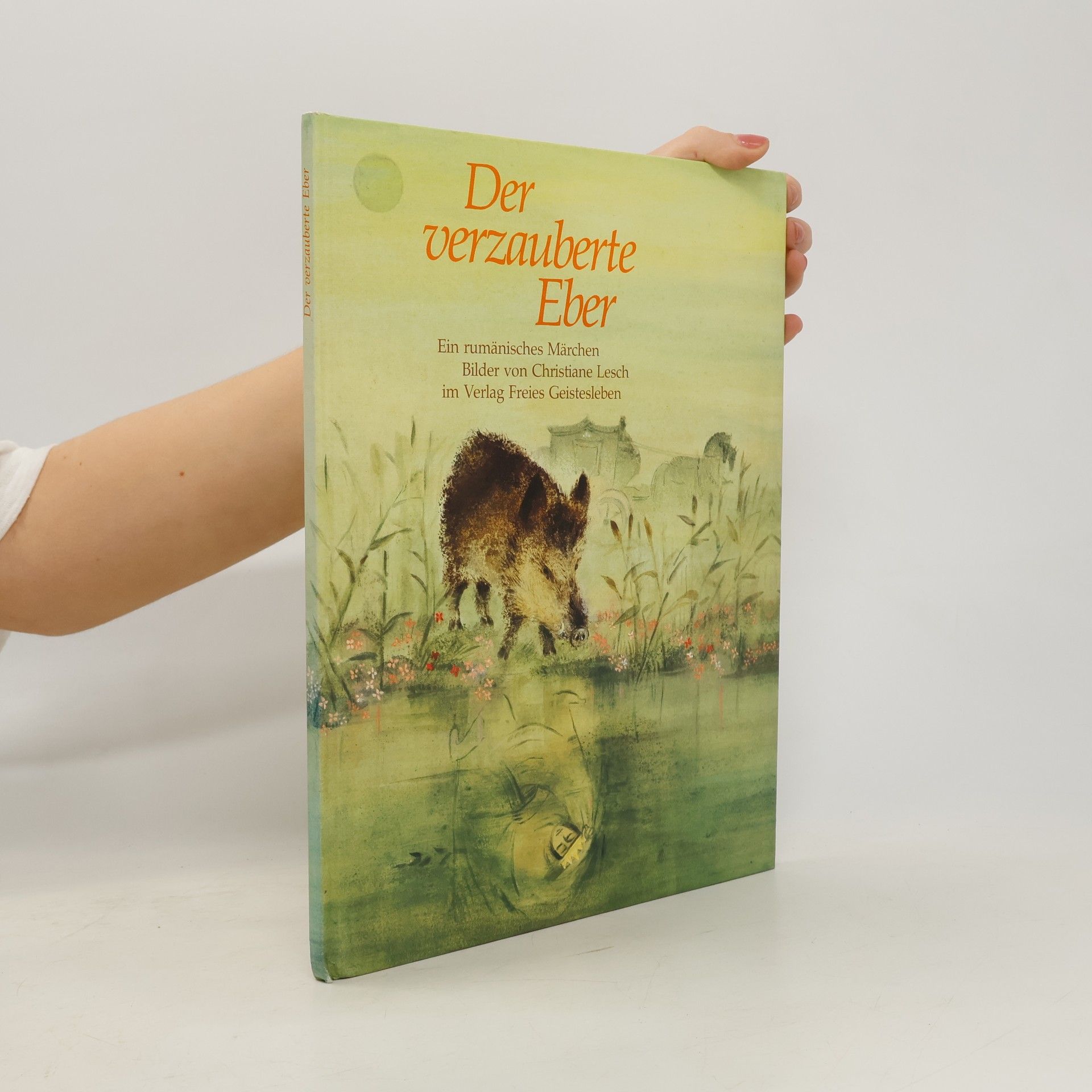 Der verzauberte Eber