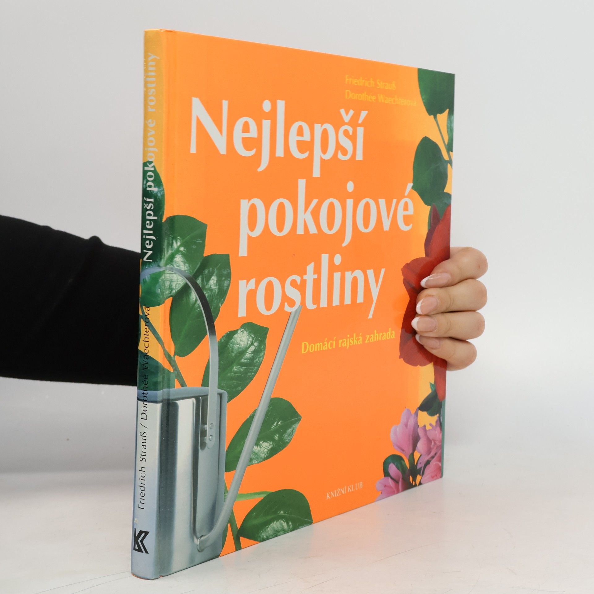 Nejlepší pokojové rostliny: Domácí rajská zahrada