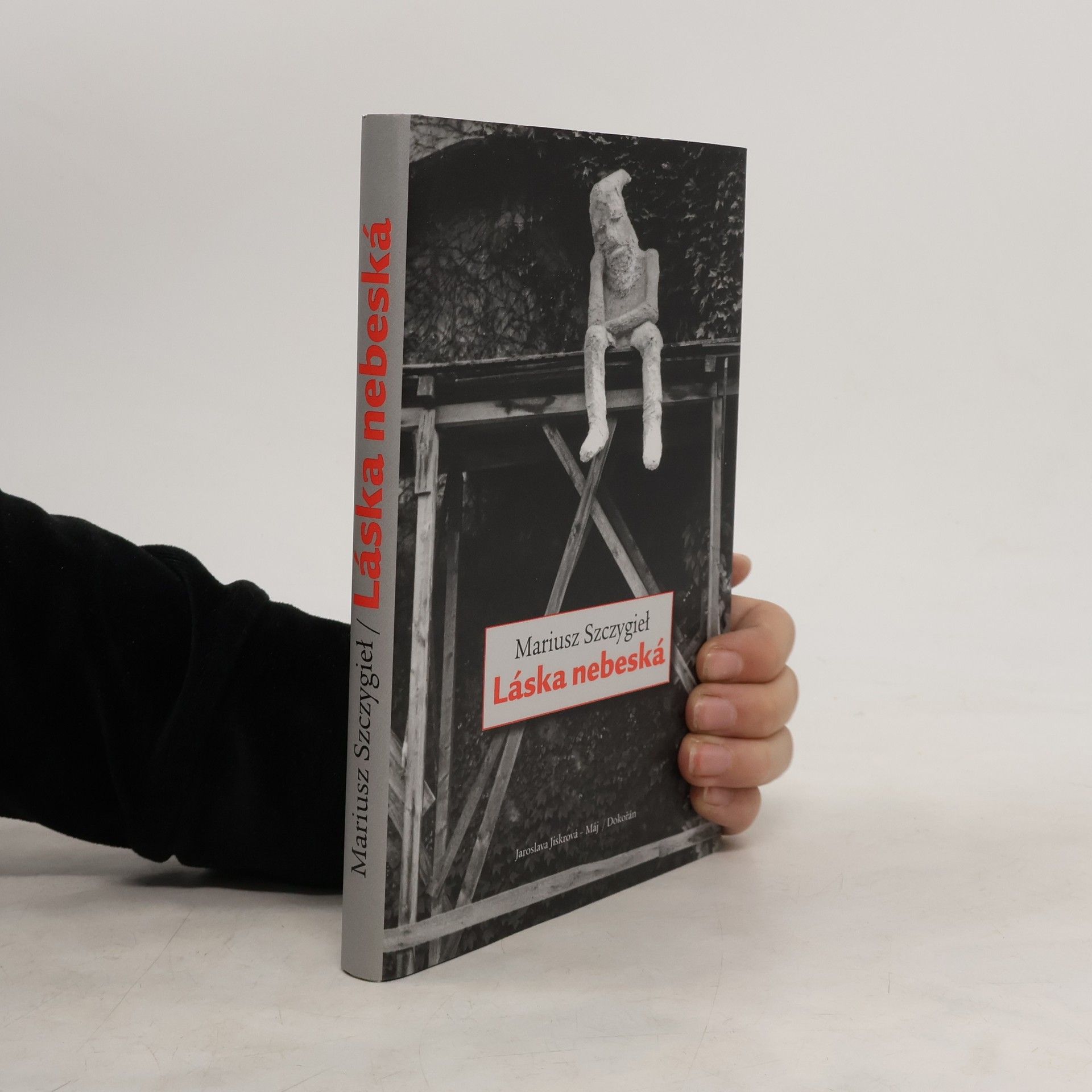 Mariusz Szczygieł Láska nebeská