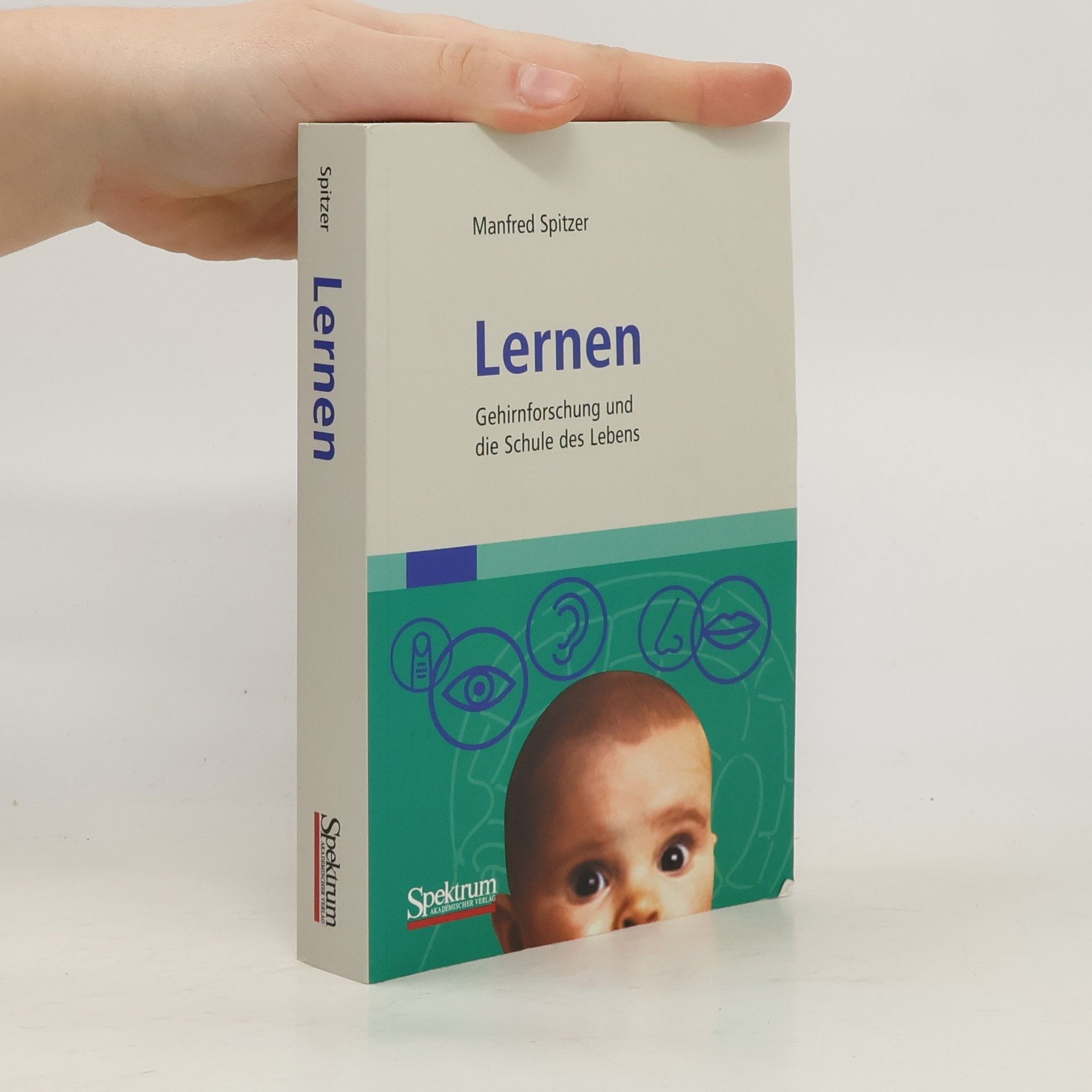 Manfred Spitzer Lernen : Gehirnforschung und die Schule des Lebens