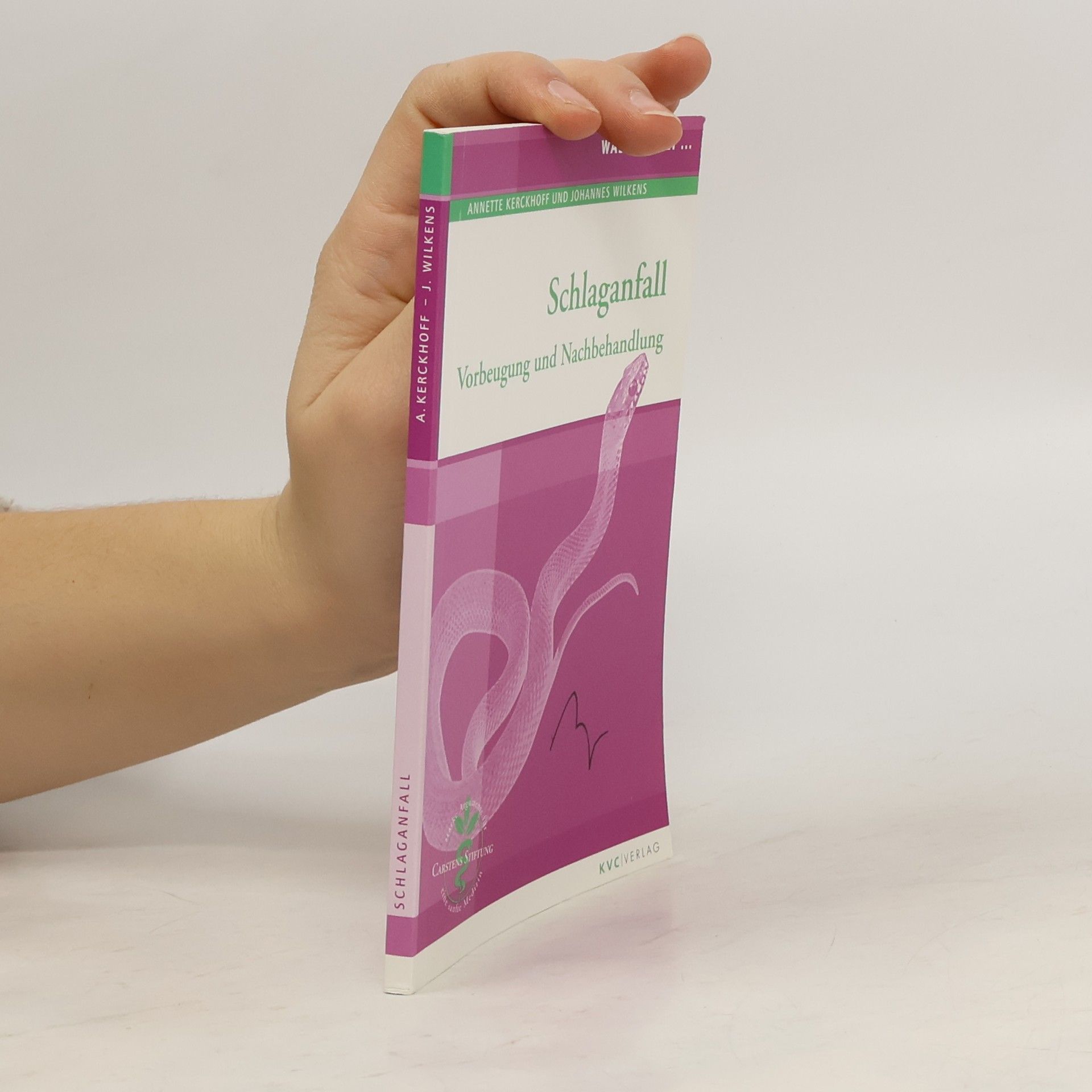 Annette Kerckhoff Was tun bei Schlaganfall