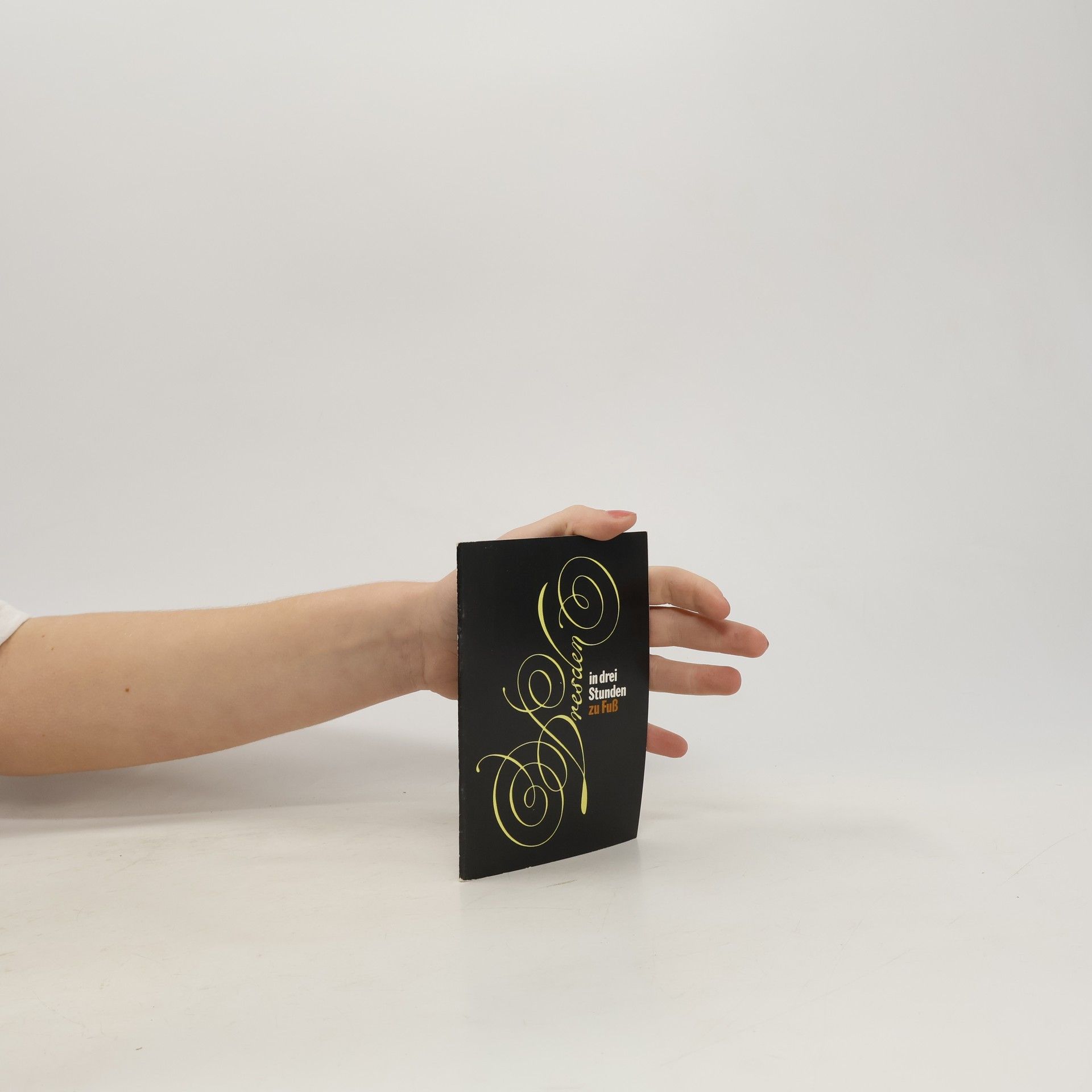 Jürgen Stauss Dresden in drei Stunden zu Fuss