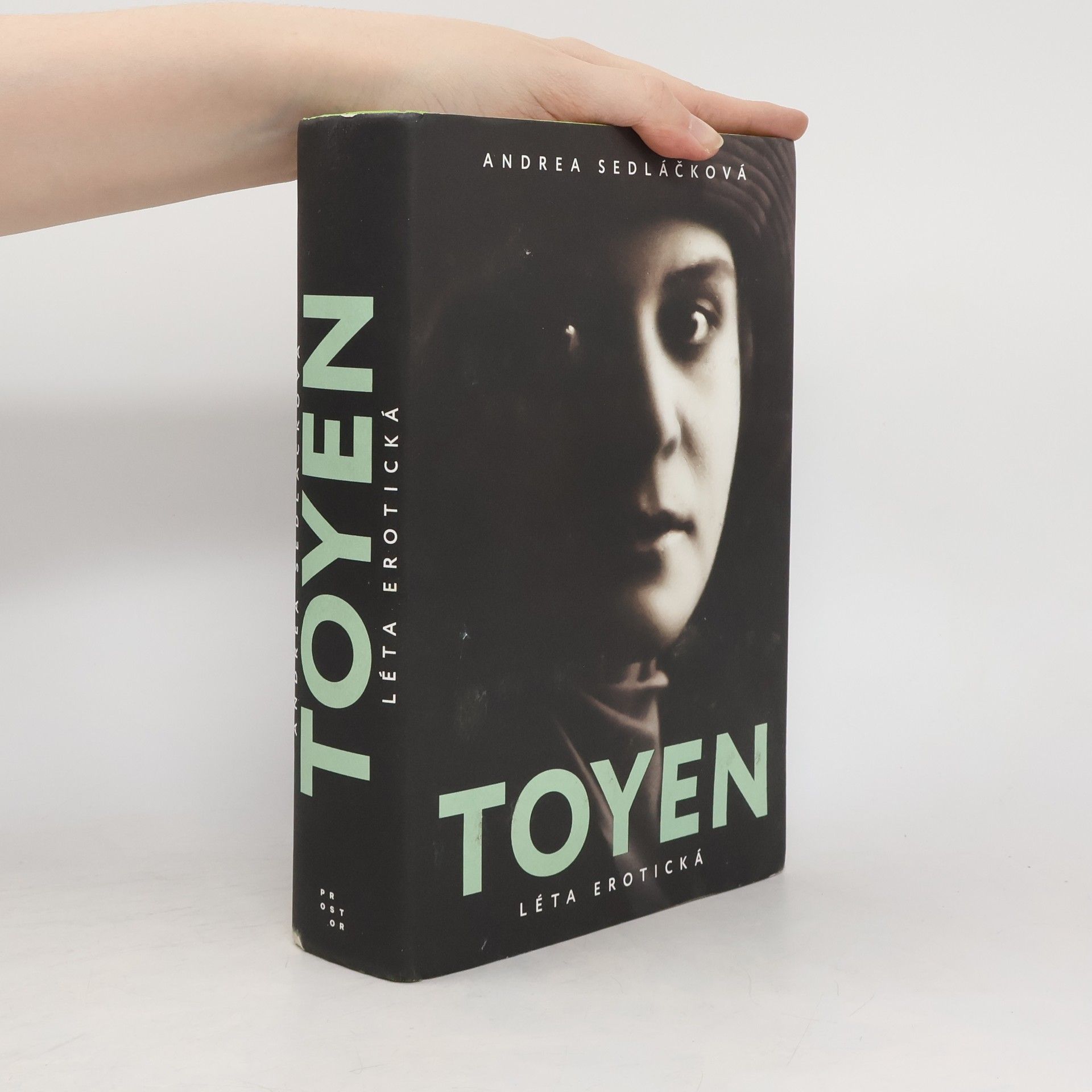 Toyen: Léta erotická