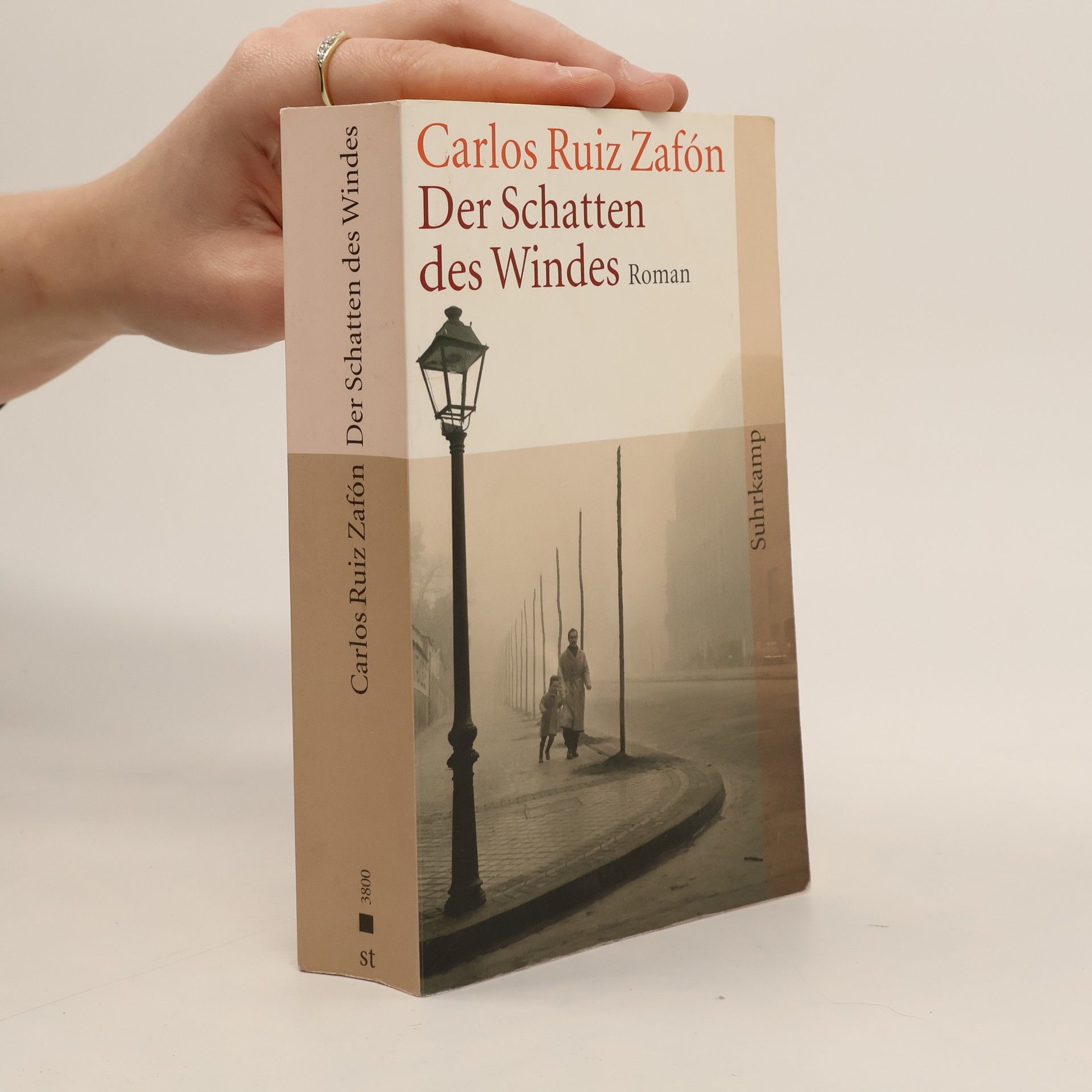Carlos Ruiz Zafón Der Schatten des Windes